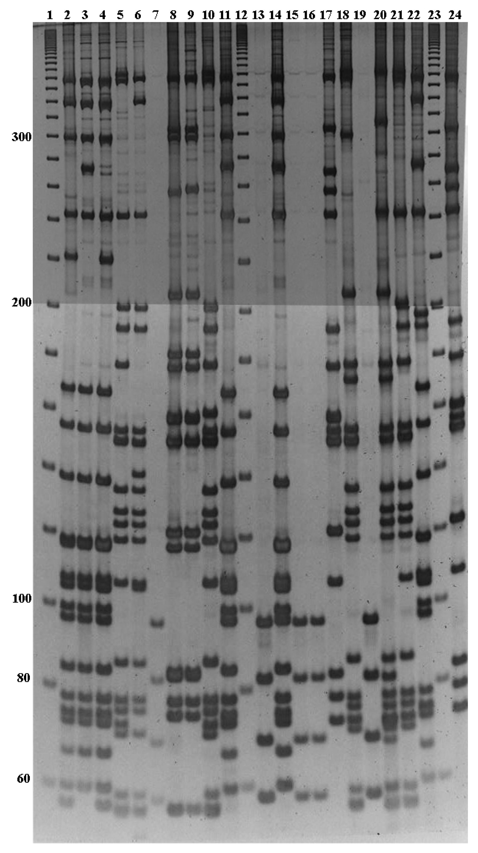 Diagnostics 09 00196 g002 Diagnostics 09 00196 g002