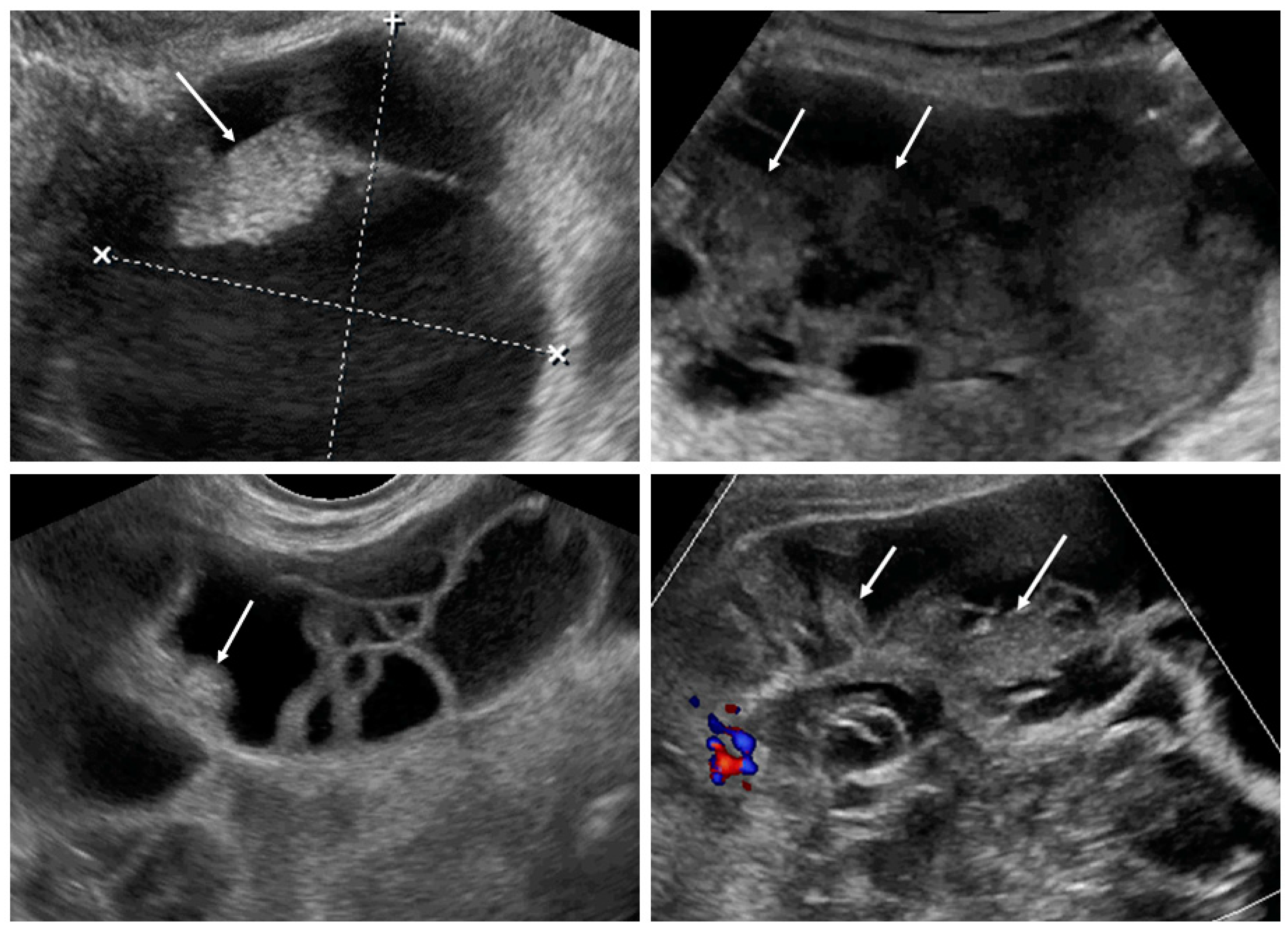Diagnostics 09 00210 g004 550