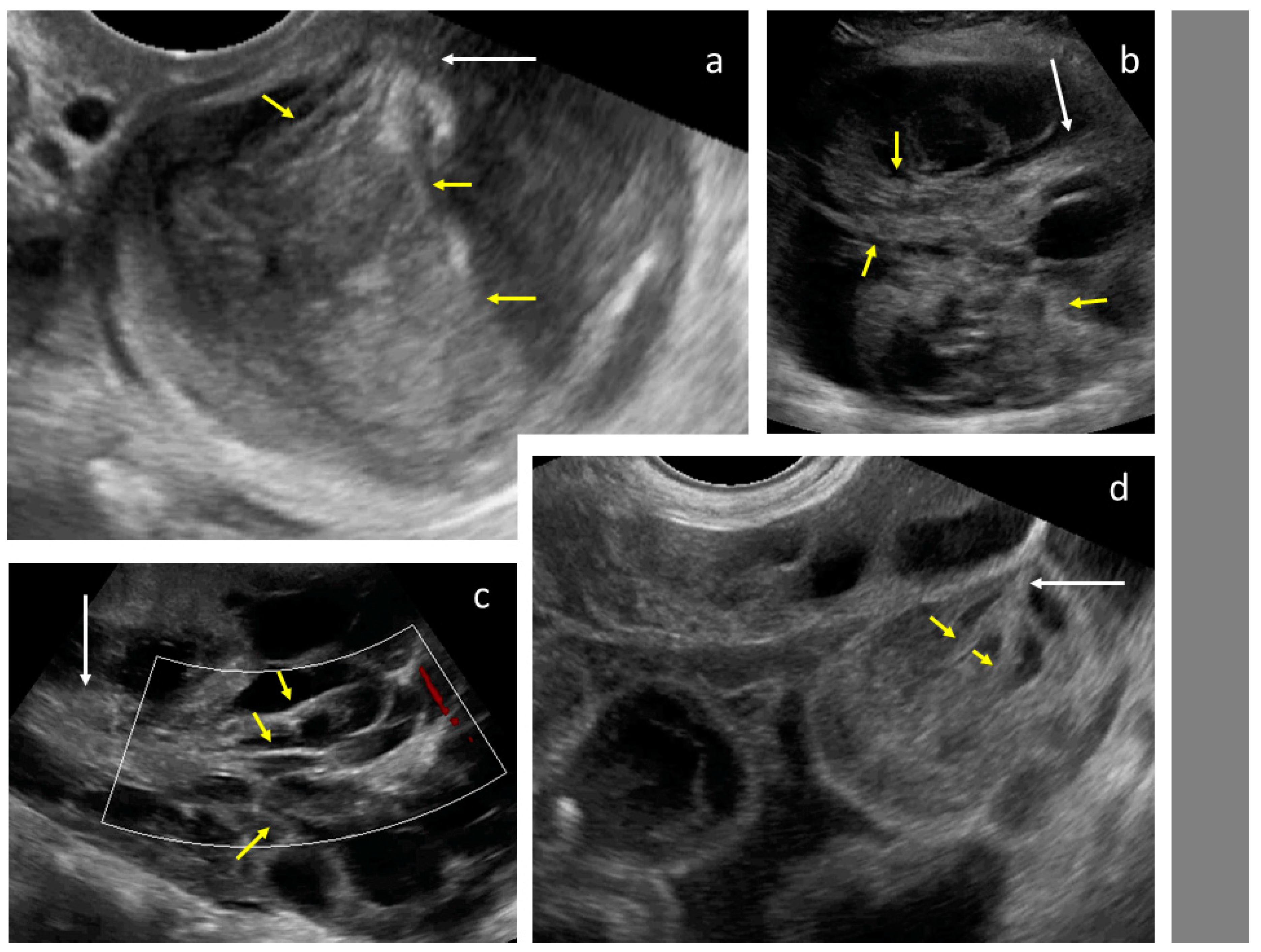 Diagnostics 09 00210 g005 550
