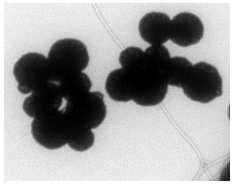 Diagnostics 09 00222 g002 Diagnostics 09 00222 g002