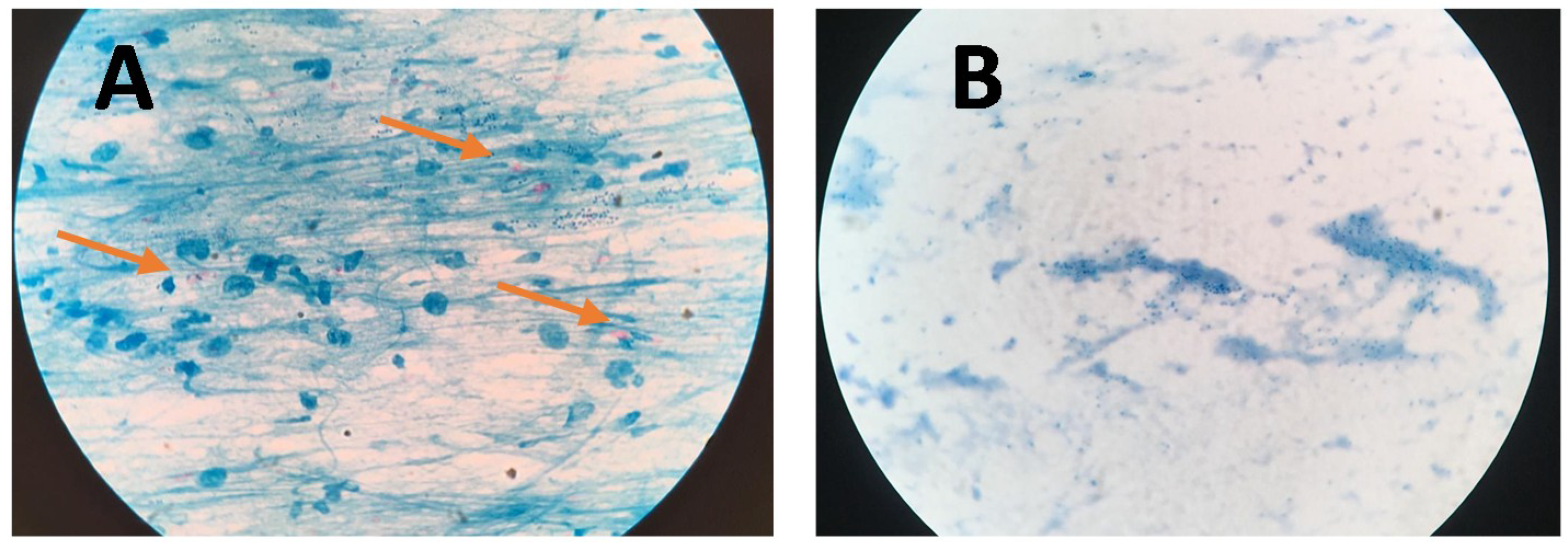 Diagnostics 09 00222 g004 Diagnostics 09 00222 g004