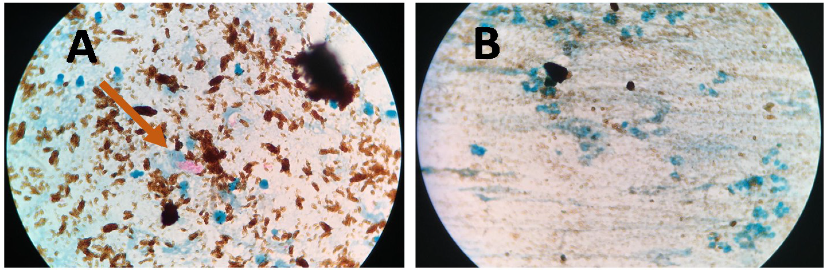 Diagnostics 09 00222 g005 Diagnostics 09 00222 g005