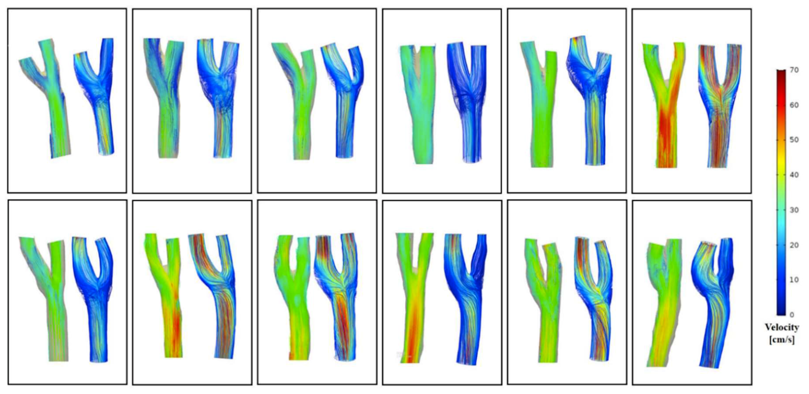 Diagnostics 09 00223 g004 Diagnostics 09 00223 g004