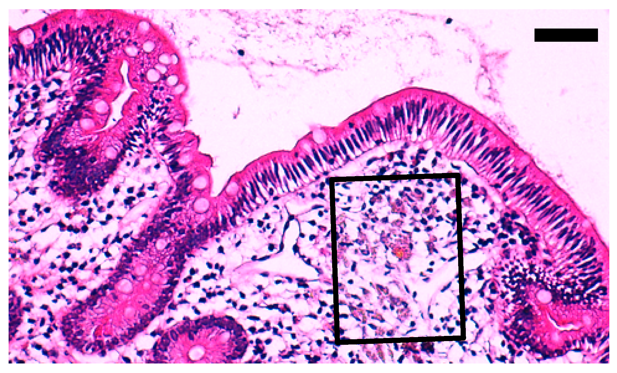 Diagnostics 10 00001 g005 Diagnostics 10 00001 g005