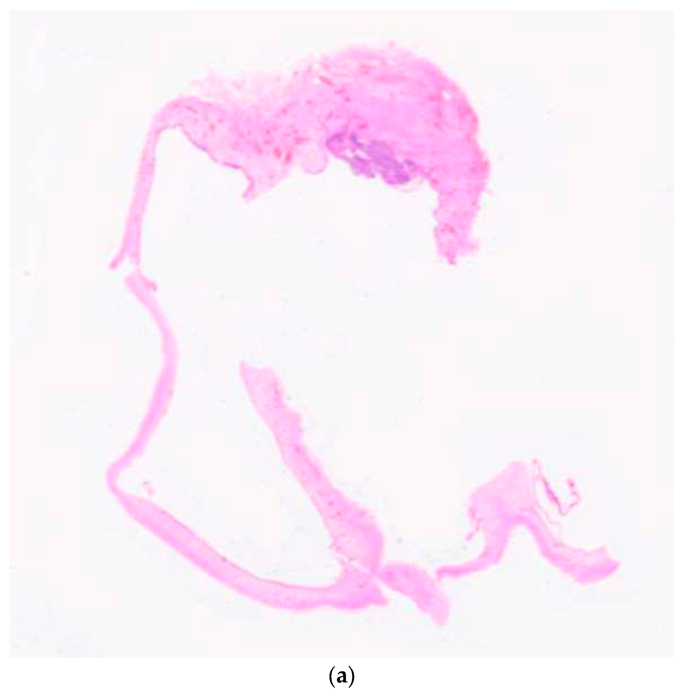 Diagnostics 10 00003 g001a Diagnostics 10 00003 g001a