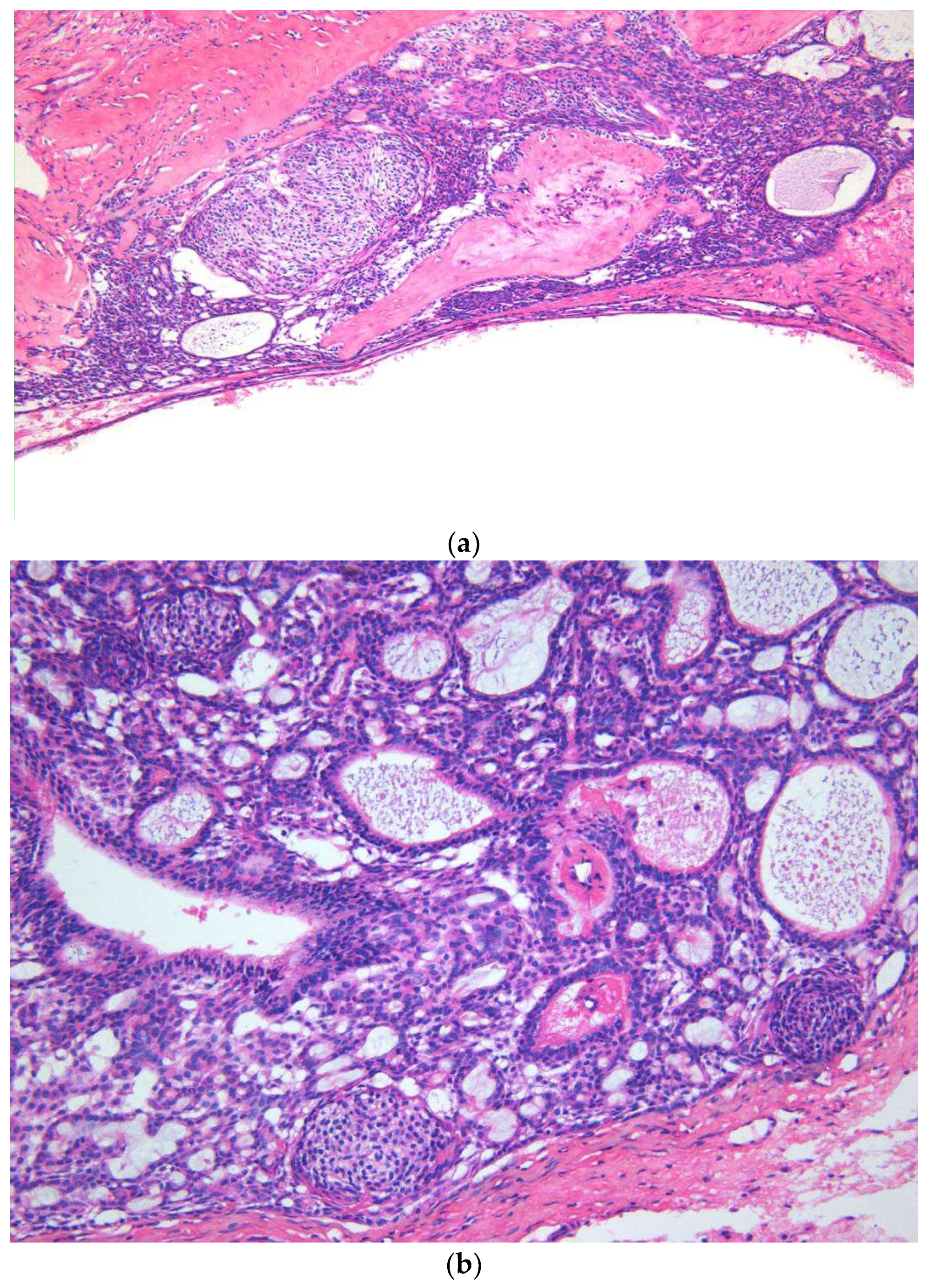 Diagnostics 10 00003 g003 Diagnostics 10 00003 g003