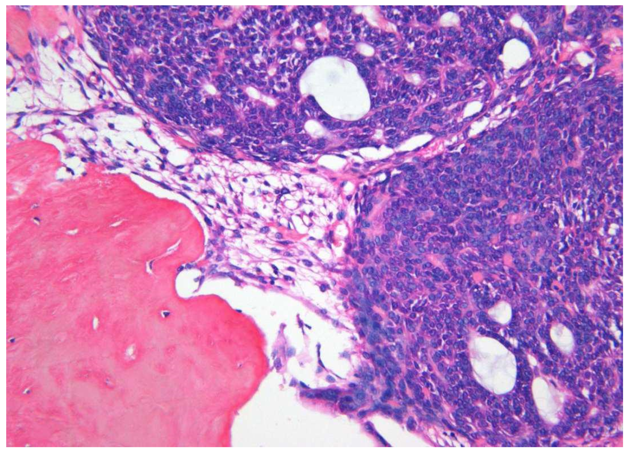 Diagnostics 10 00003 g004 Diagnostics 10 00003 g004