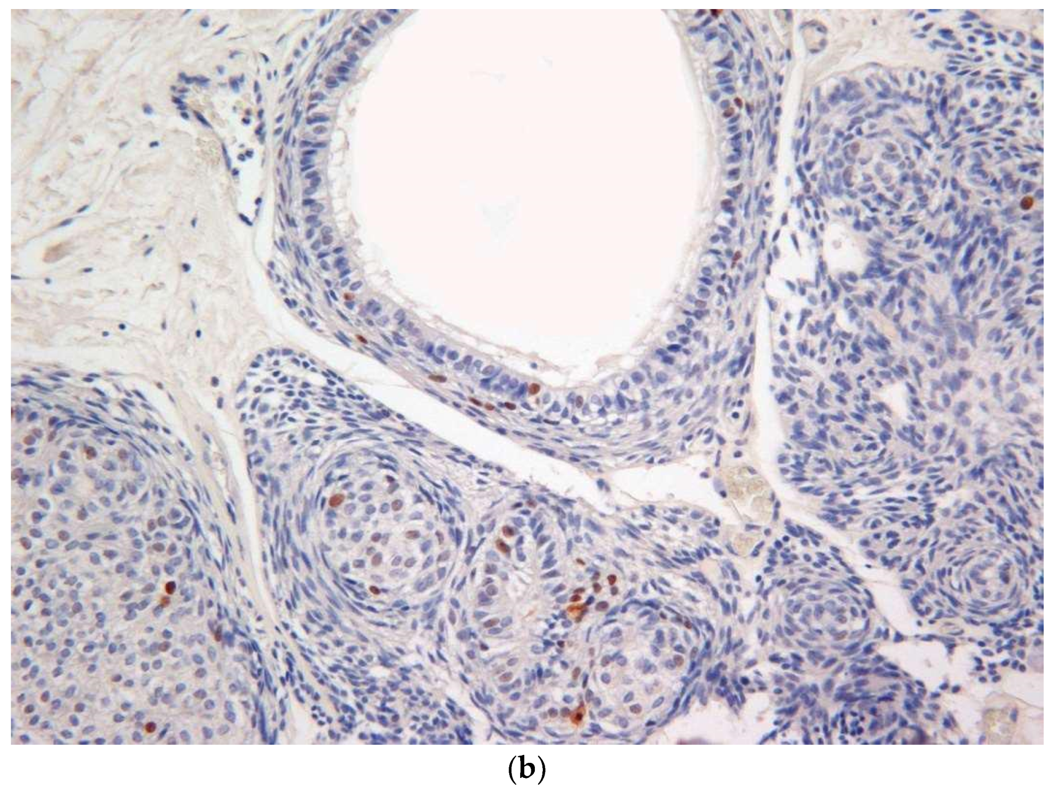 Diagnostics 10 00003 g005b Diagnostics 10 00003 g005b