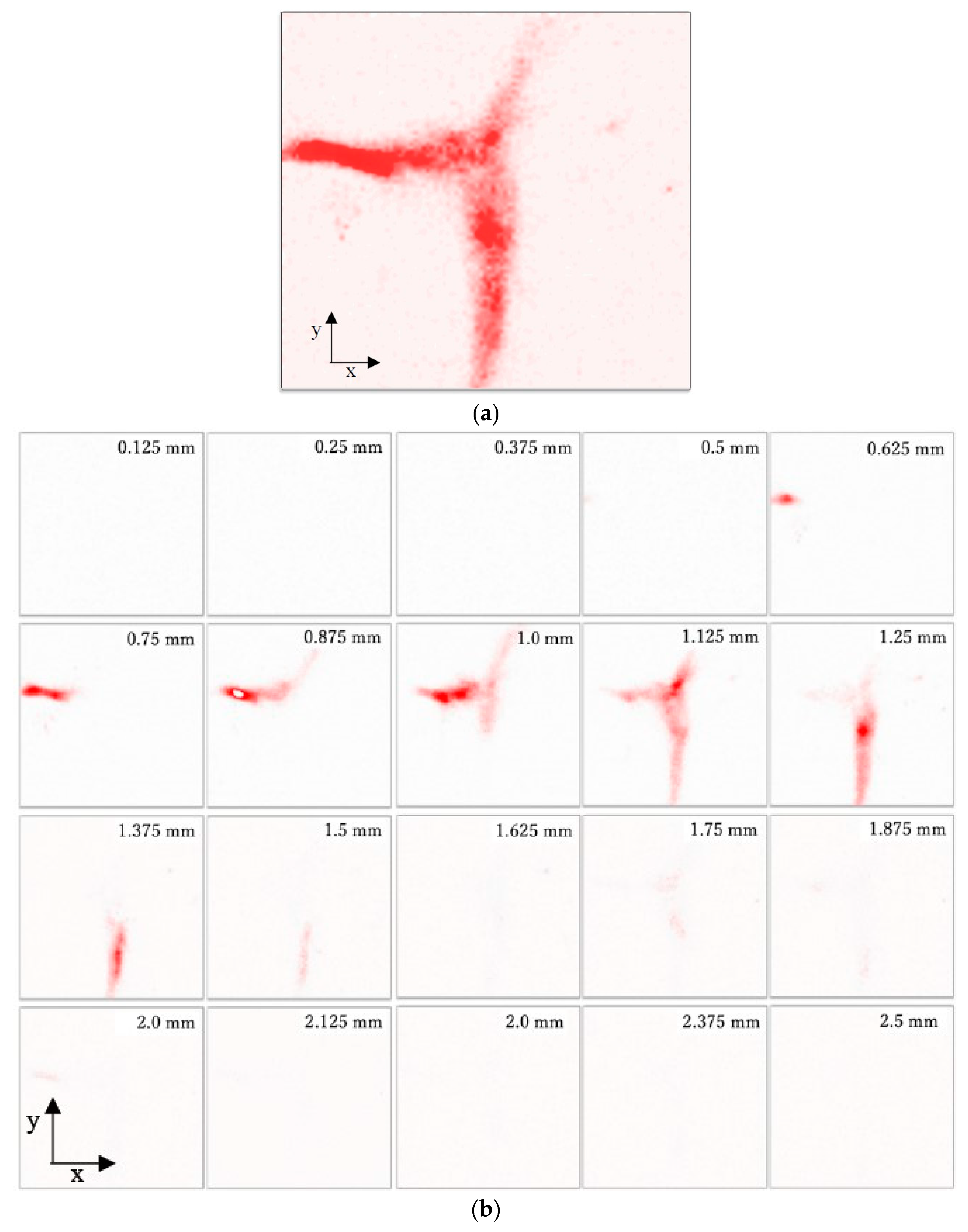 Diagnostics 10 00006 g013a Diagnostics 10 00006 g013a