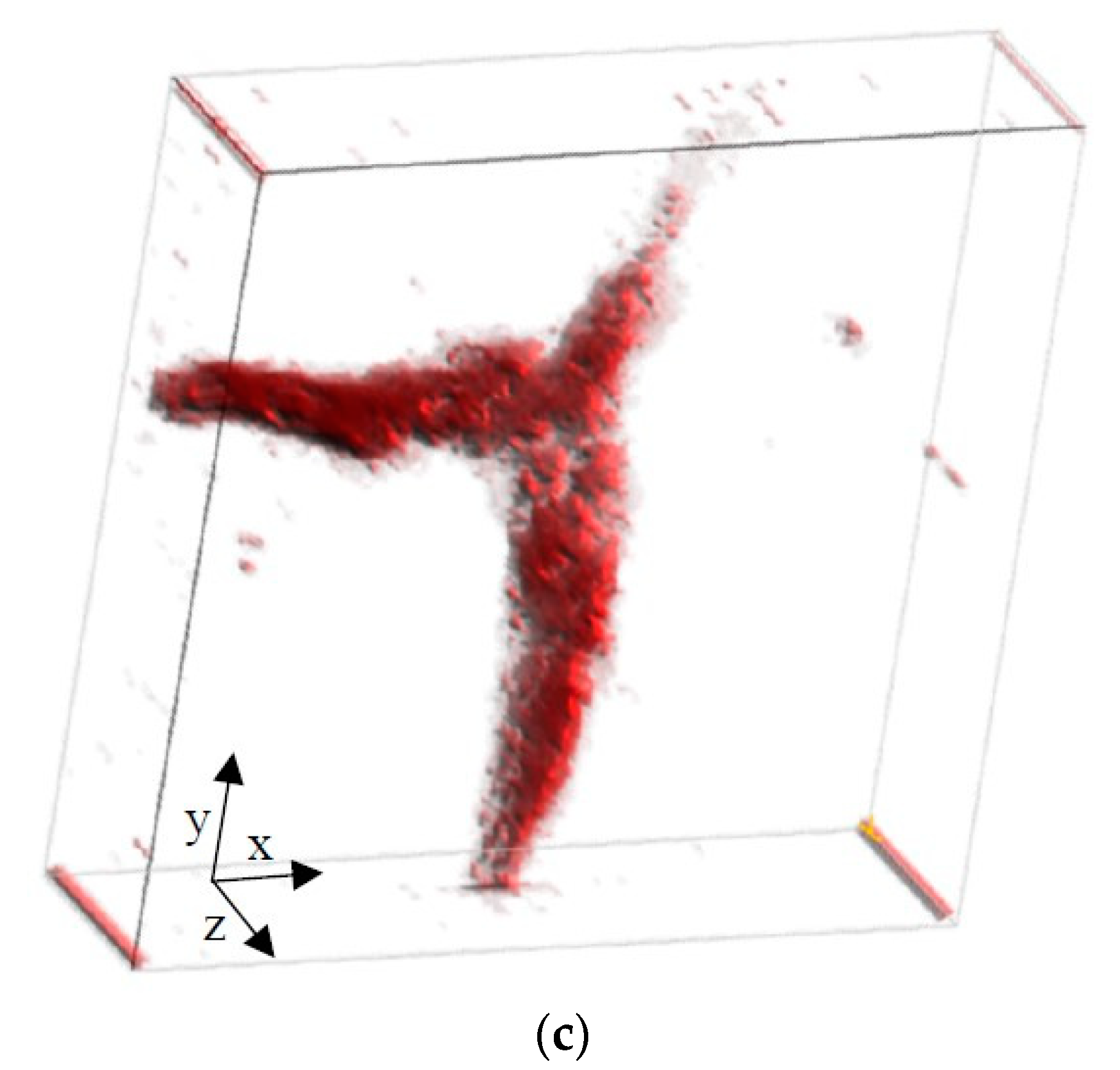Diagnostics 10 00006 g013b Diagnostics 10 00006 g013b