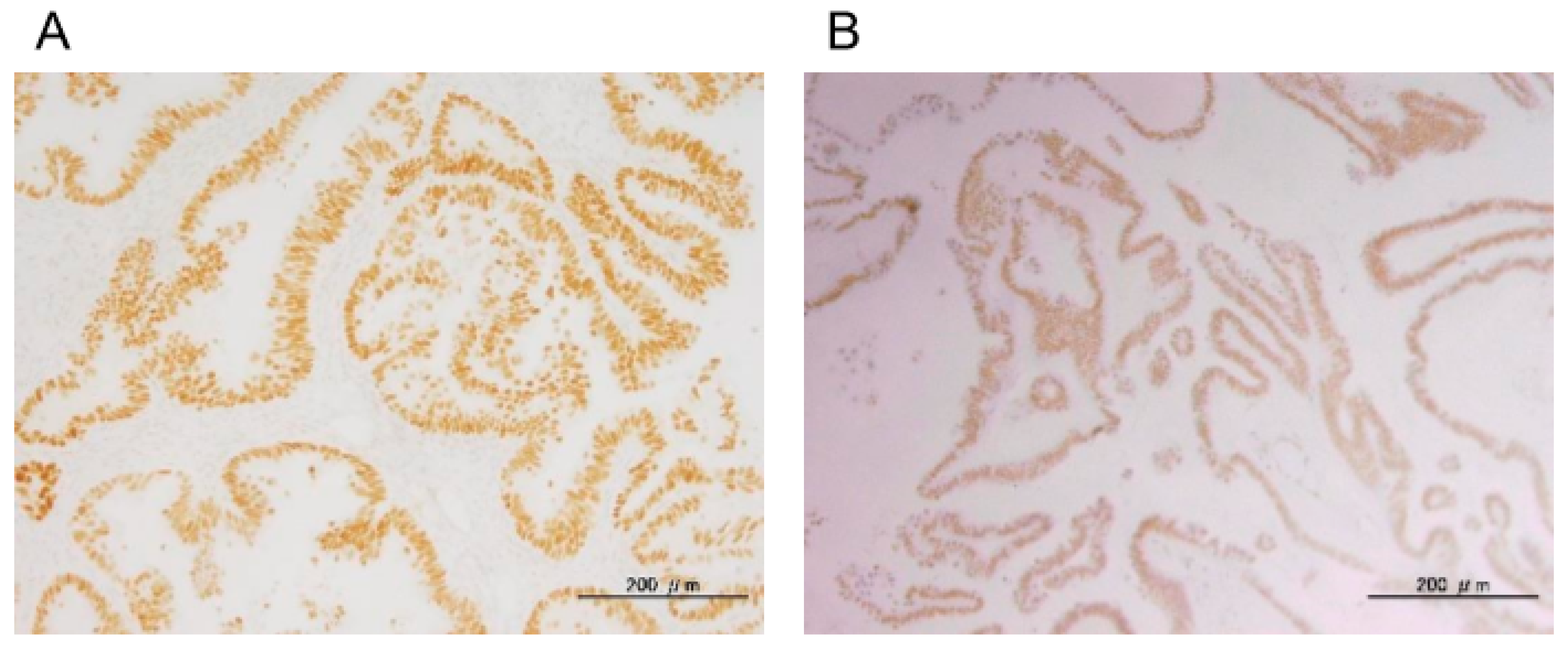 Diagnostics 10 00013 g002