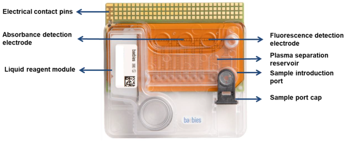 Diagnostics 10 00021 g002 Diagnostics 10 00021 g002