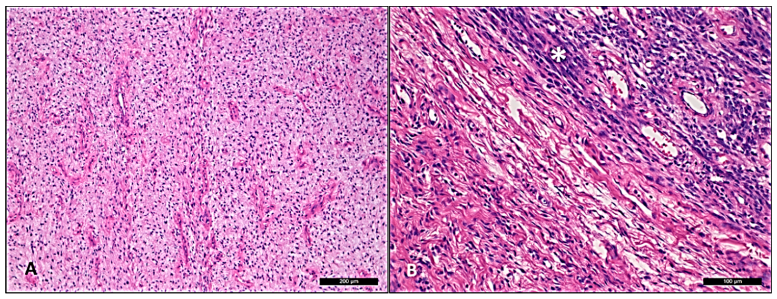 Diagnostics 10 00035 g001 Diagnostics 10 00035 g001