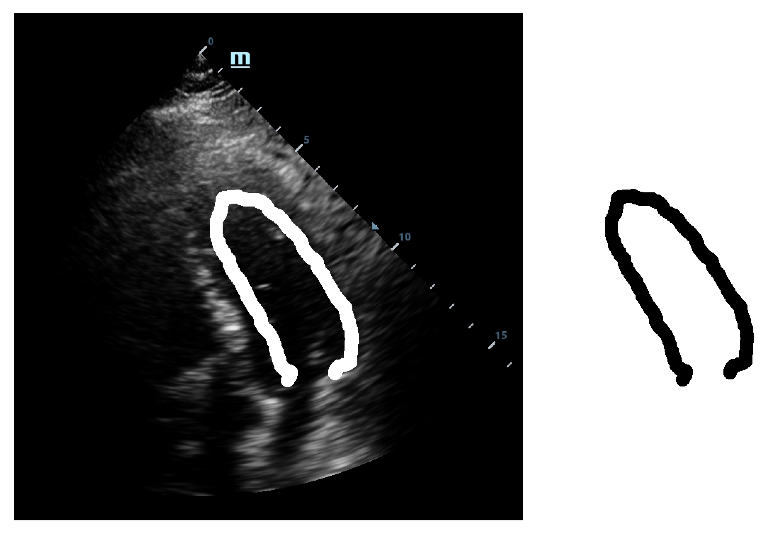 Diagnostics 10 00040 g001