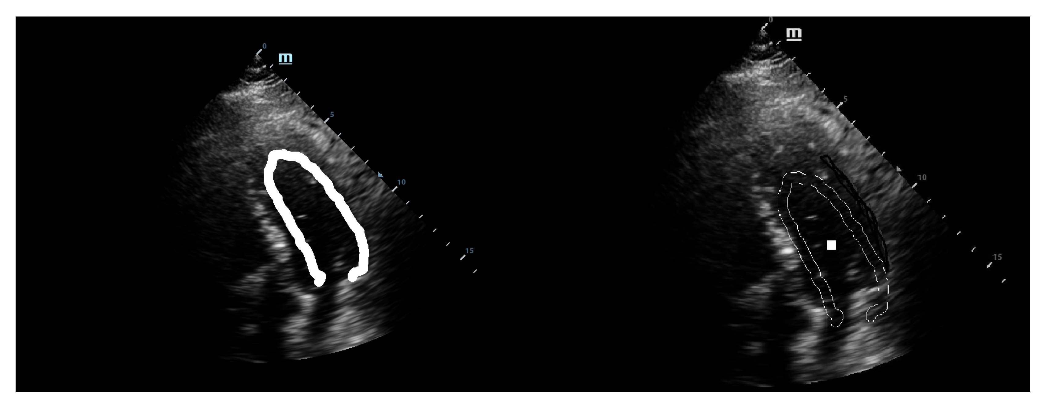 Diagnostics 10 00040 g002