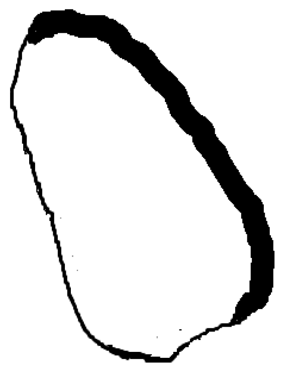 Diagnostics 10 00040 g004