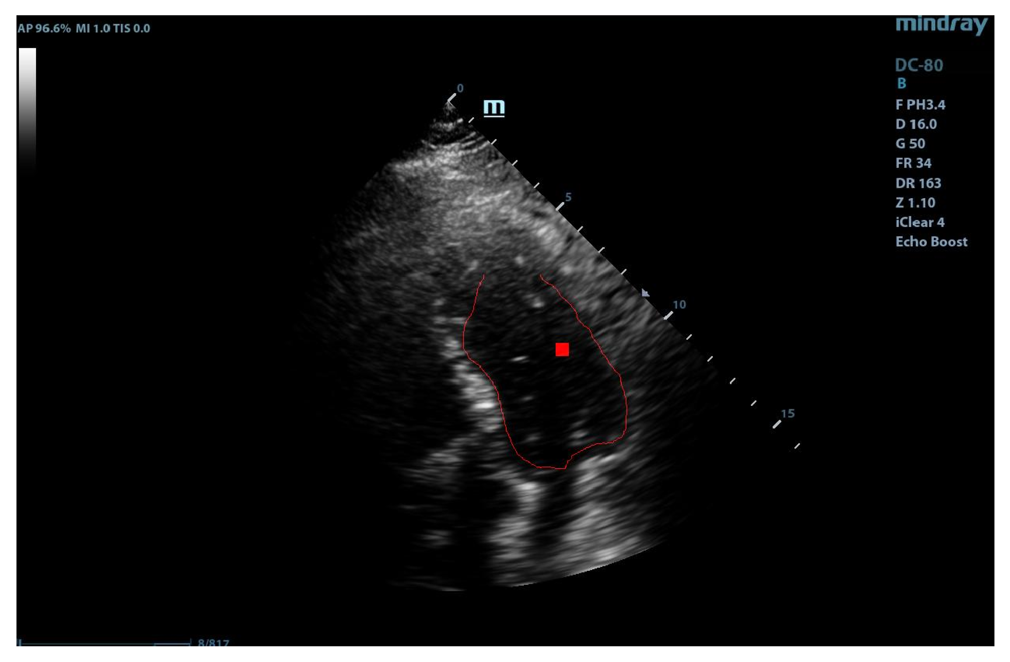 Diagnostics 10 00040 g005