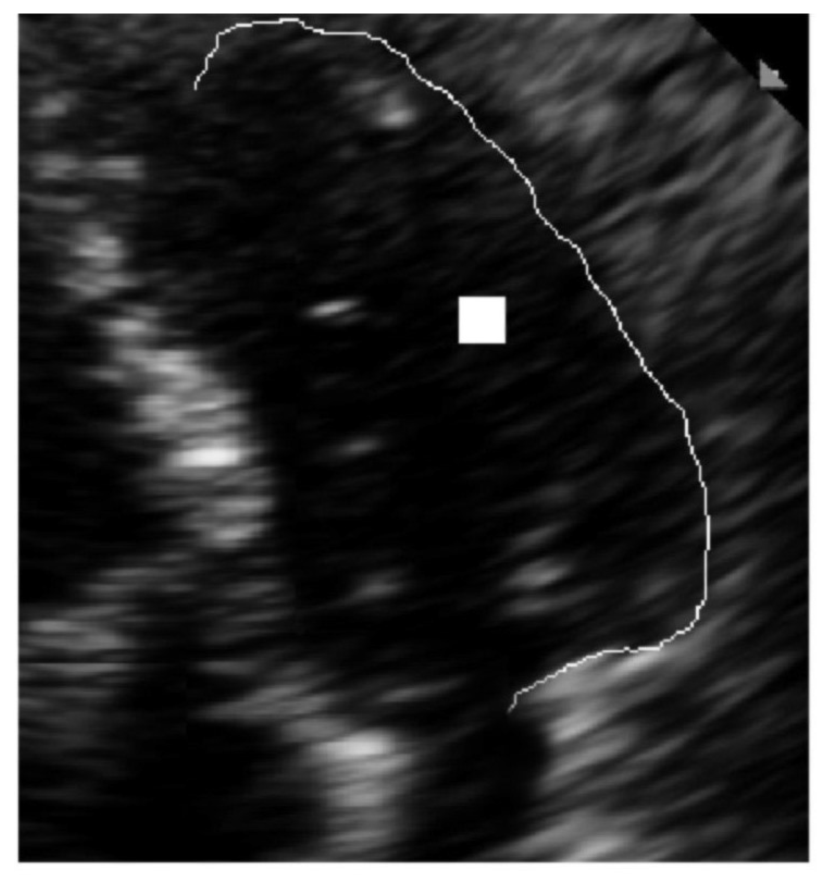 Diagnostics 10 00040 g008
