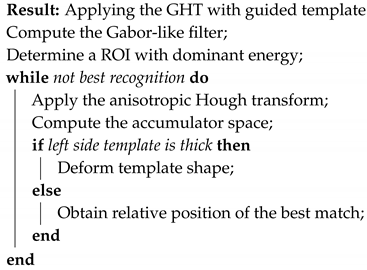 Diagnostics 10 00040 i001