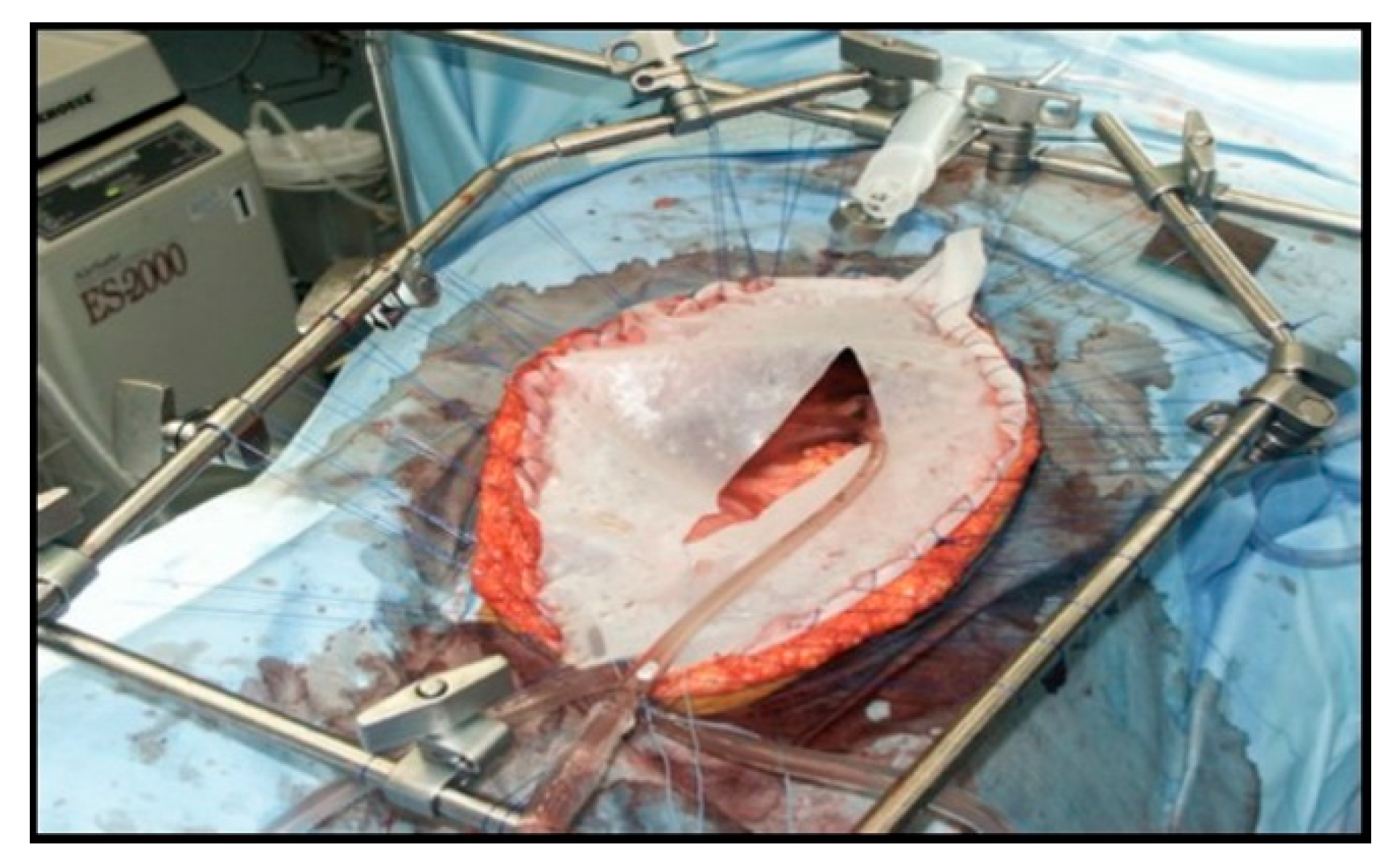 Diagnostics 10 00043 g002