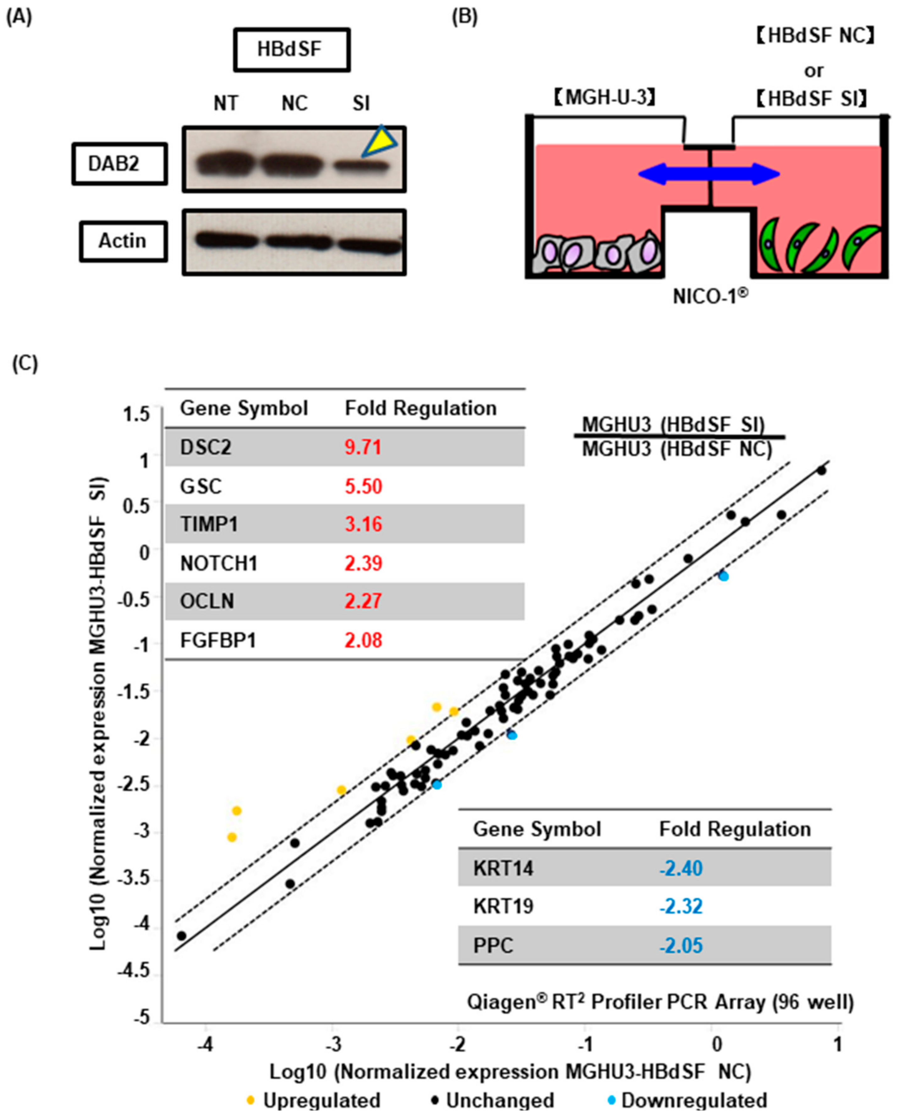 Diagnostics 10 00054 g005