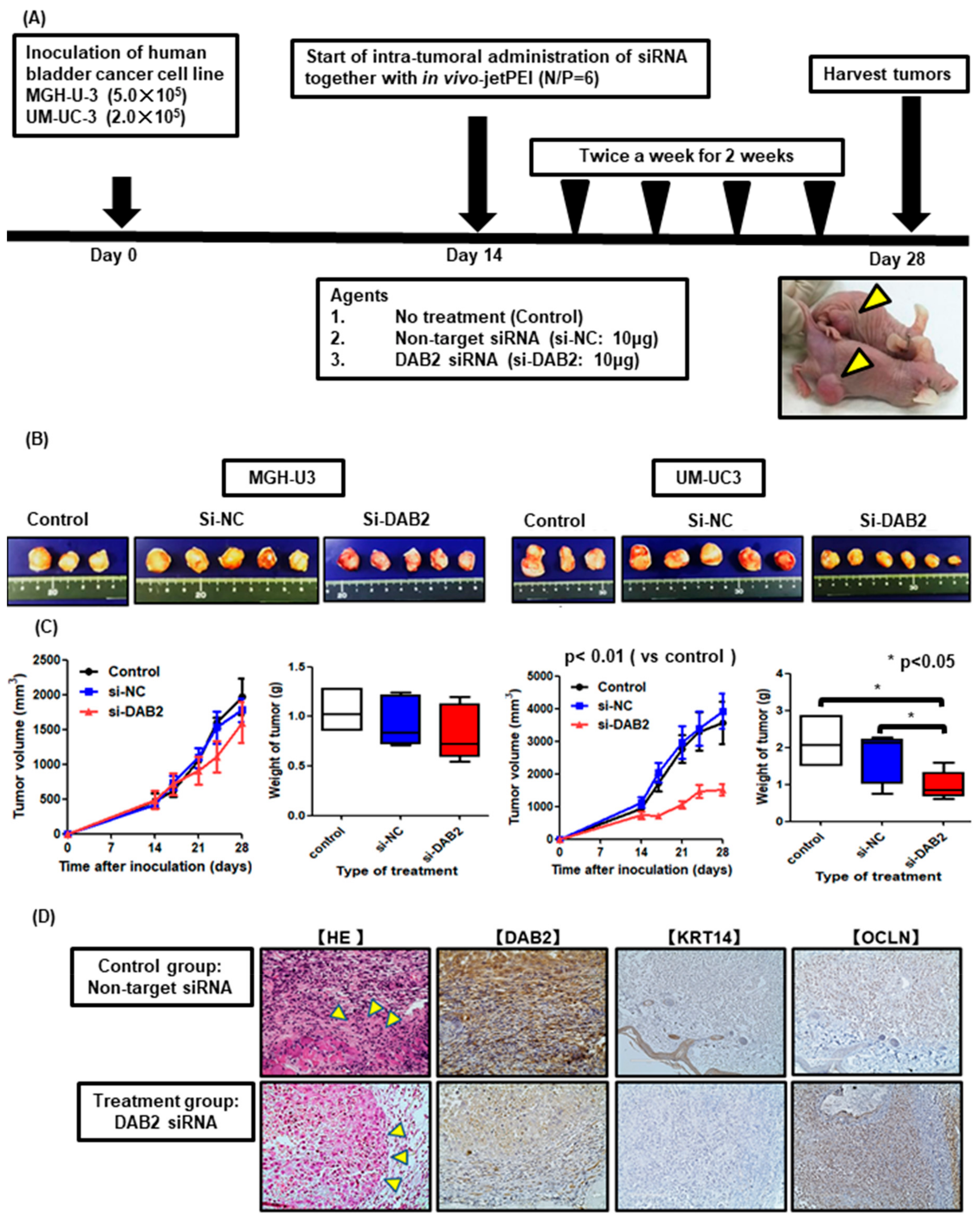 Diagnostics 10 00054 g006