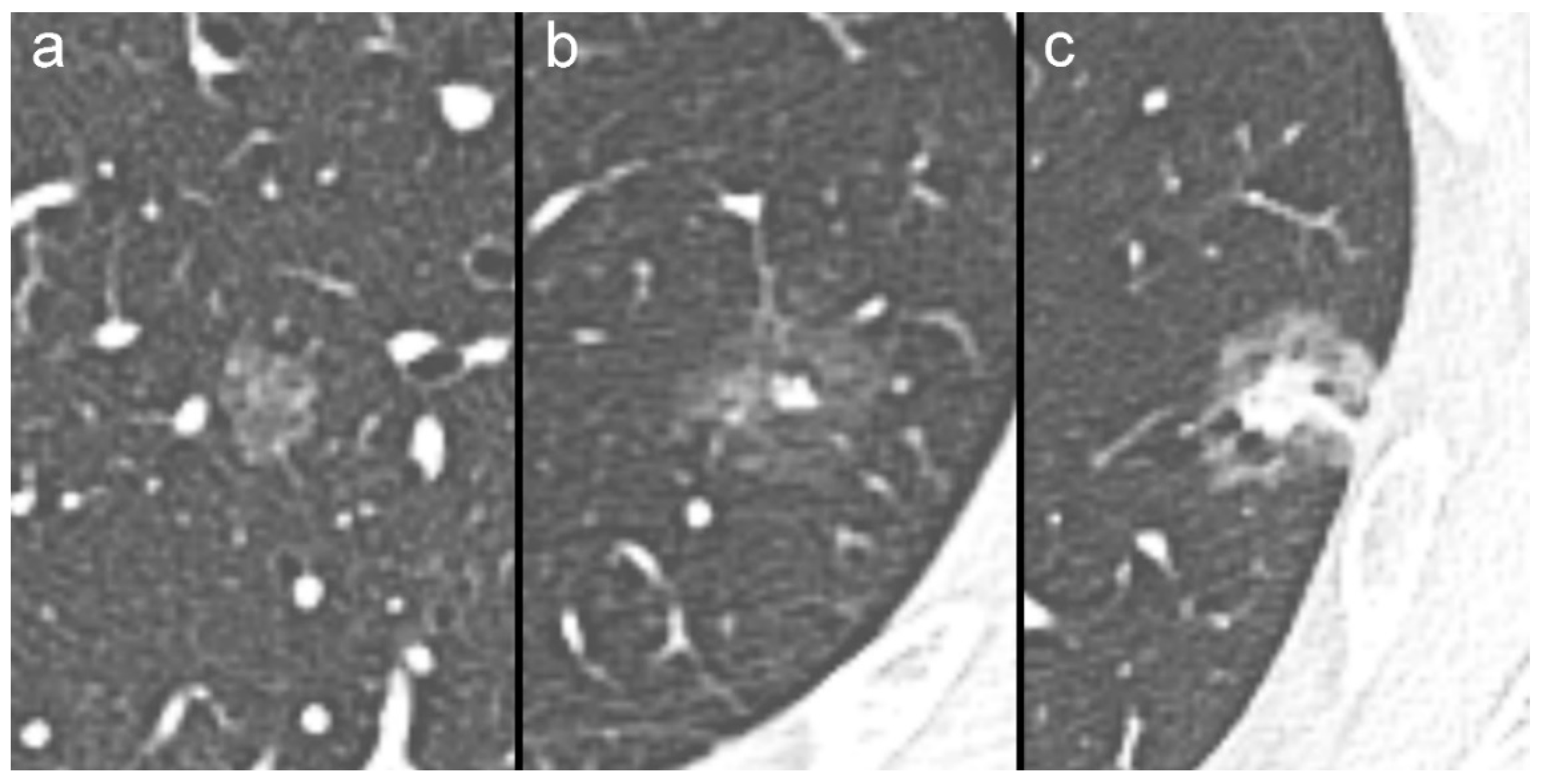 Diagnostics 10 00055 g001 Diagnostics 10 00055 g001
