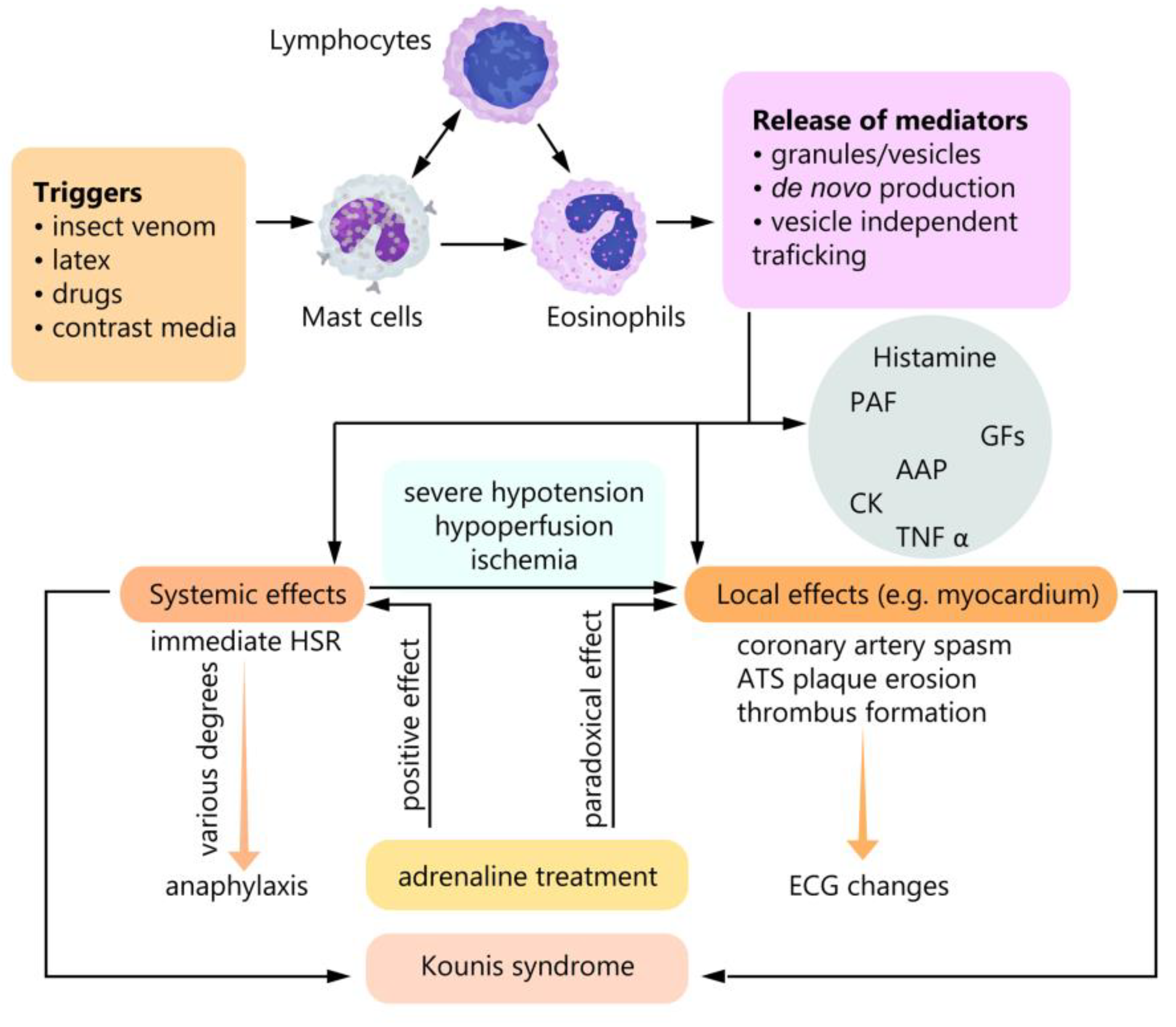 Diagnostics 10 00059 g001 Diagnostics 10 00059 g001