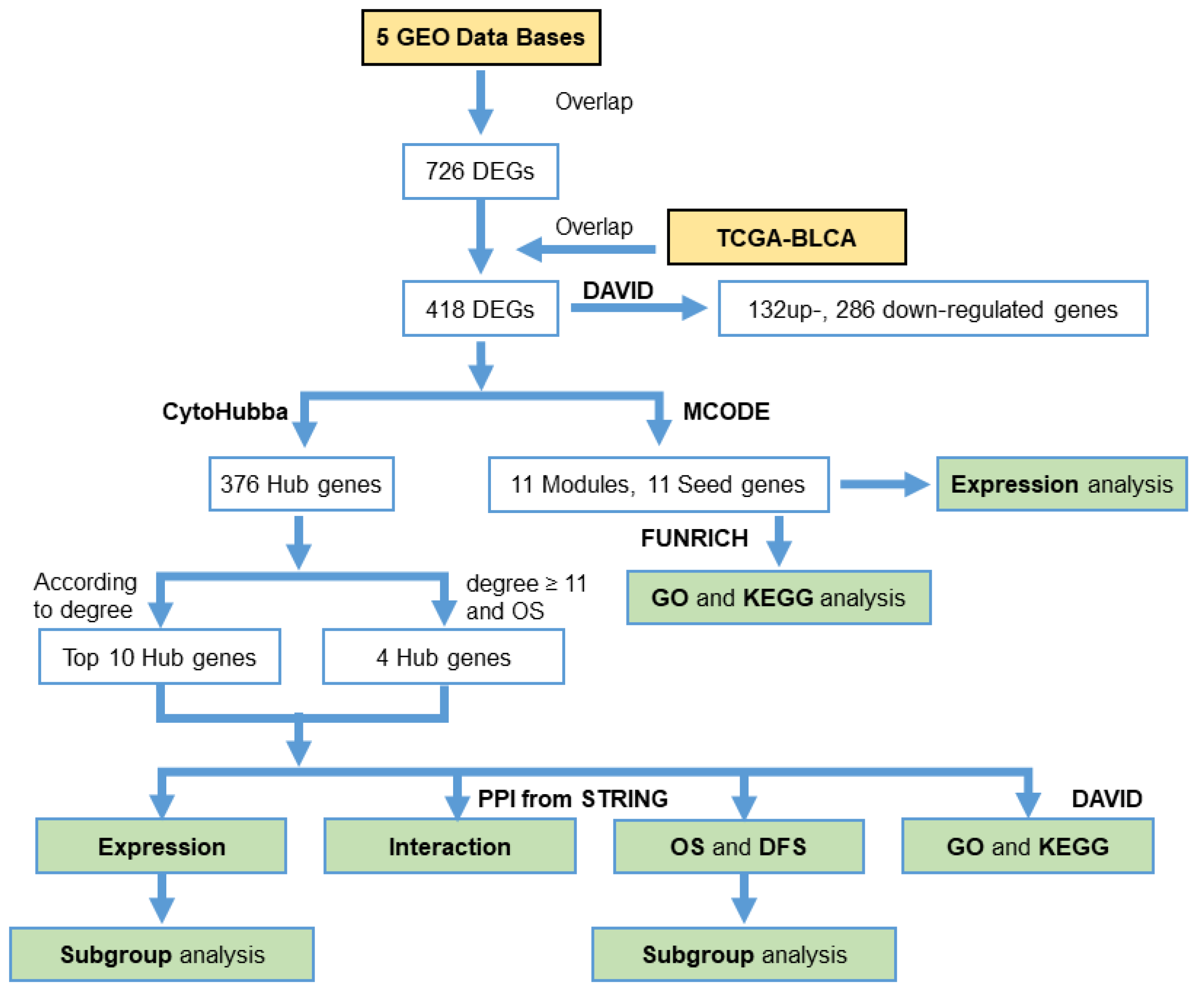 Diagnostics 10 00066 g001 Diagnostics 10 00066 g001
