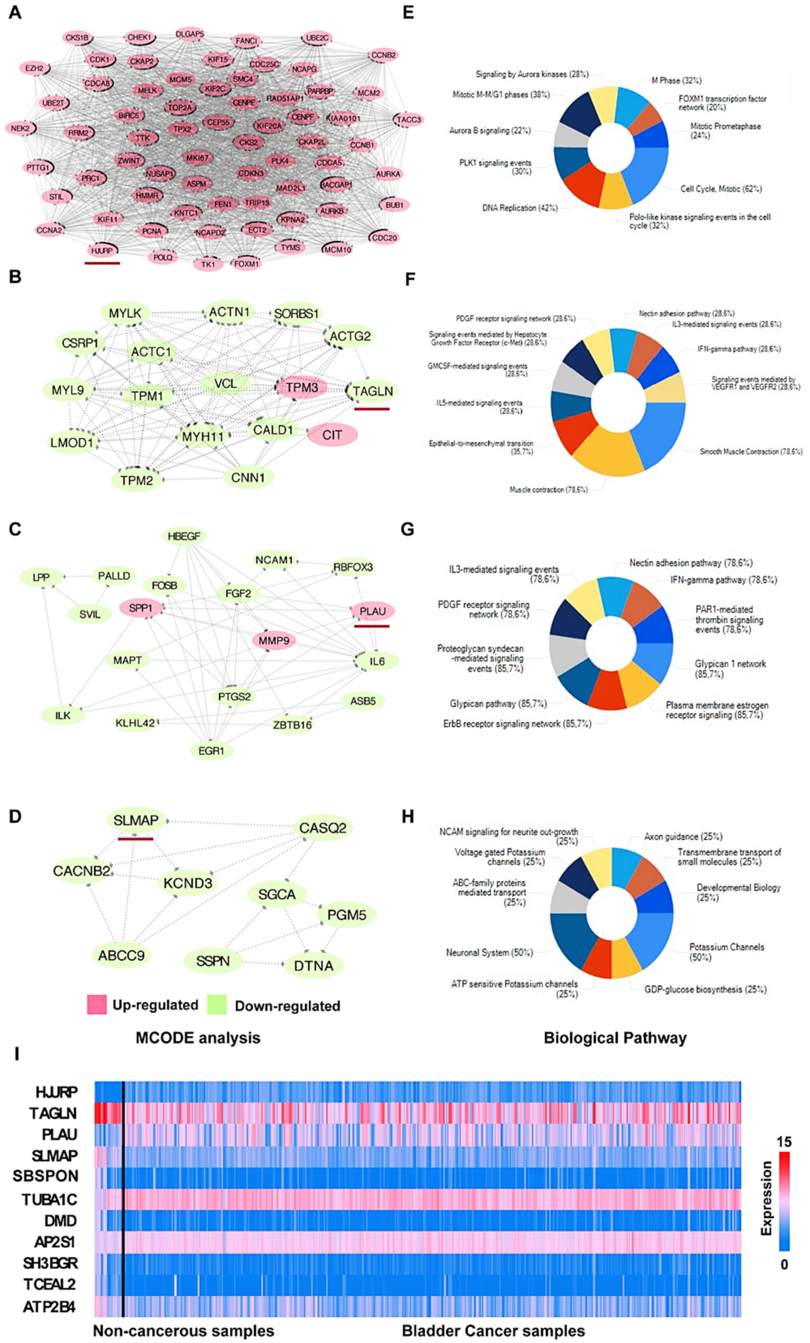 Diagnostics 10 00066 g003 Diagnostics 10 00066 g003