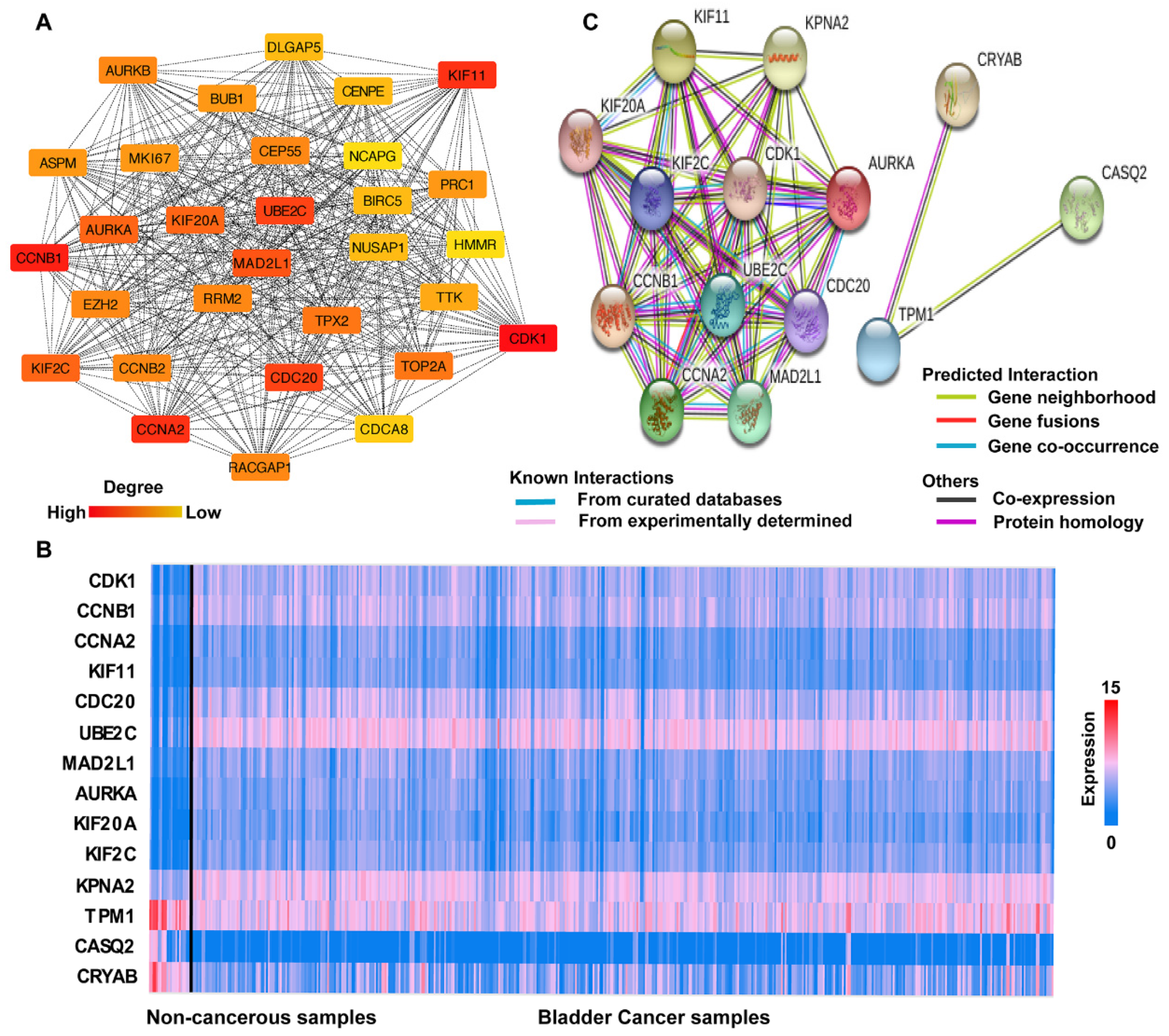 Diagnostics 10 00066 g004 Diagnostics 10 00066 g004