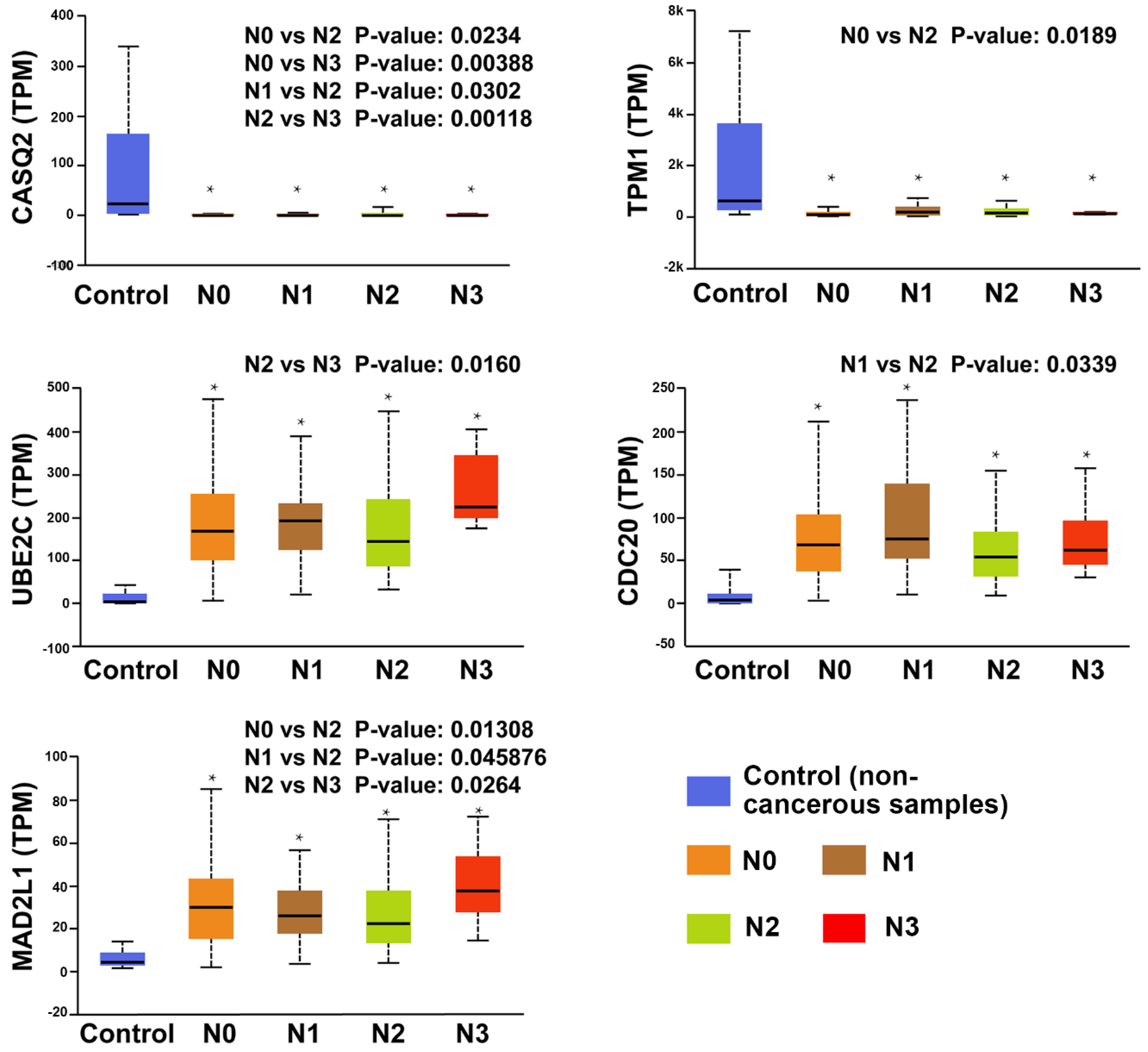 Diagnostics 10 00066 g006 Diagnostics 10 00066 g006