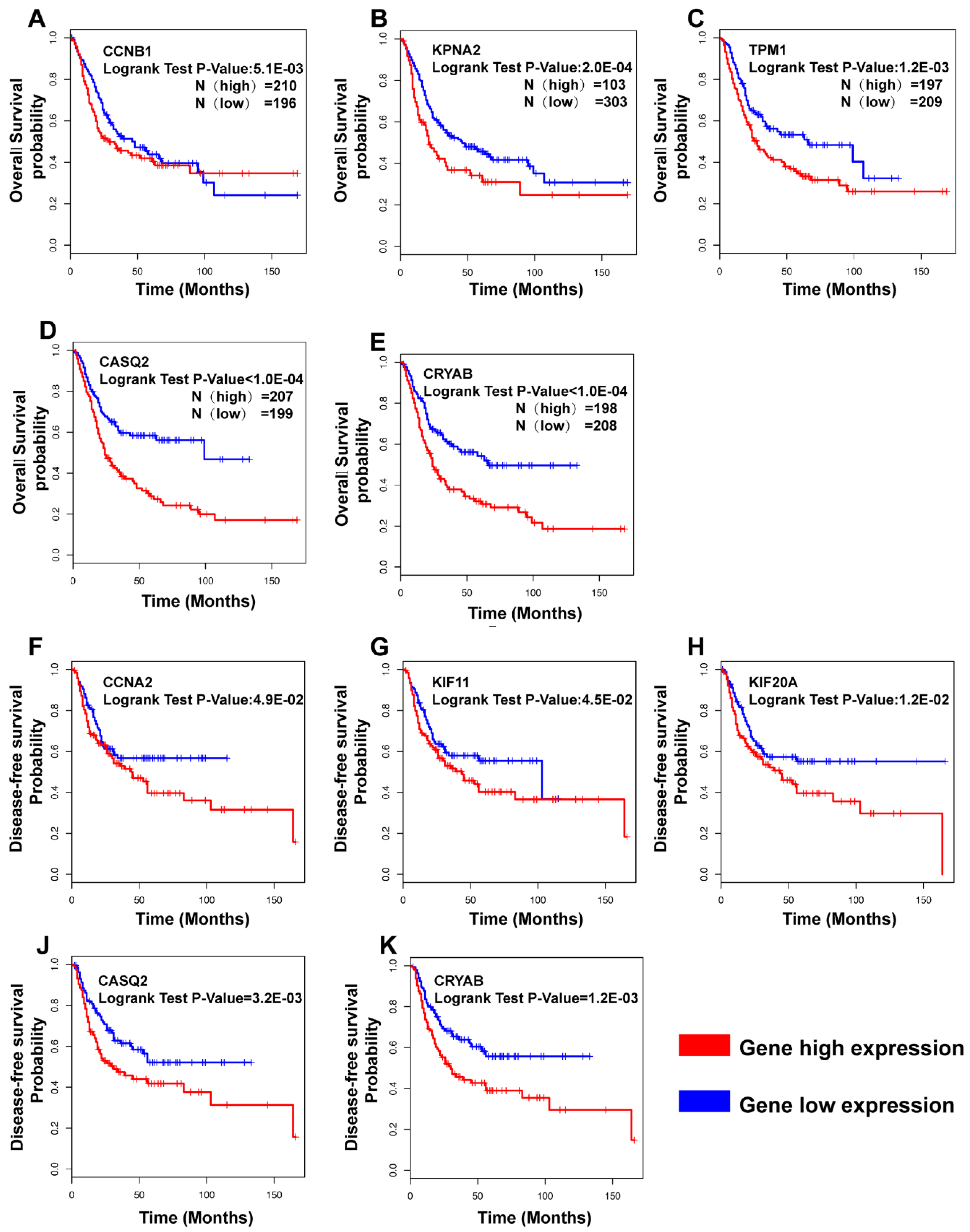 Diagnostics 10 00066 g007 Diagnostics 10 00066 g007