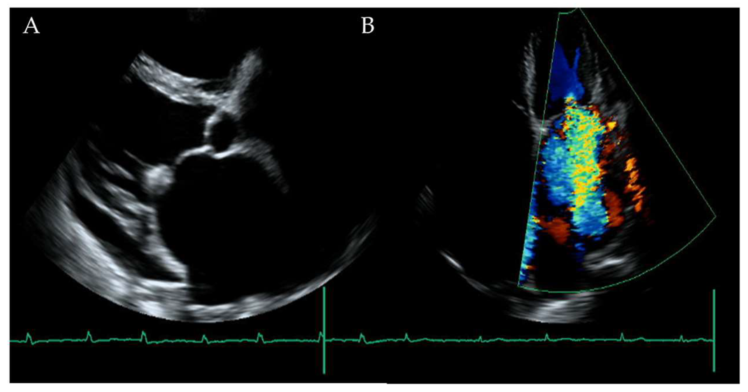 Diagnostics 10 00070 g003