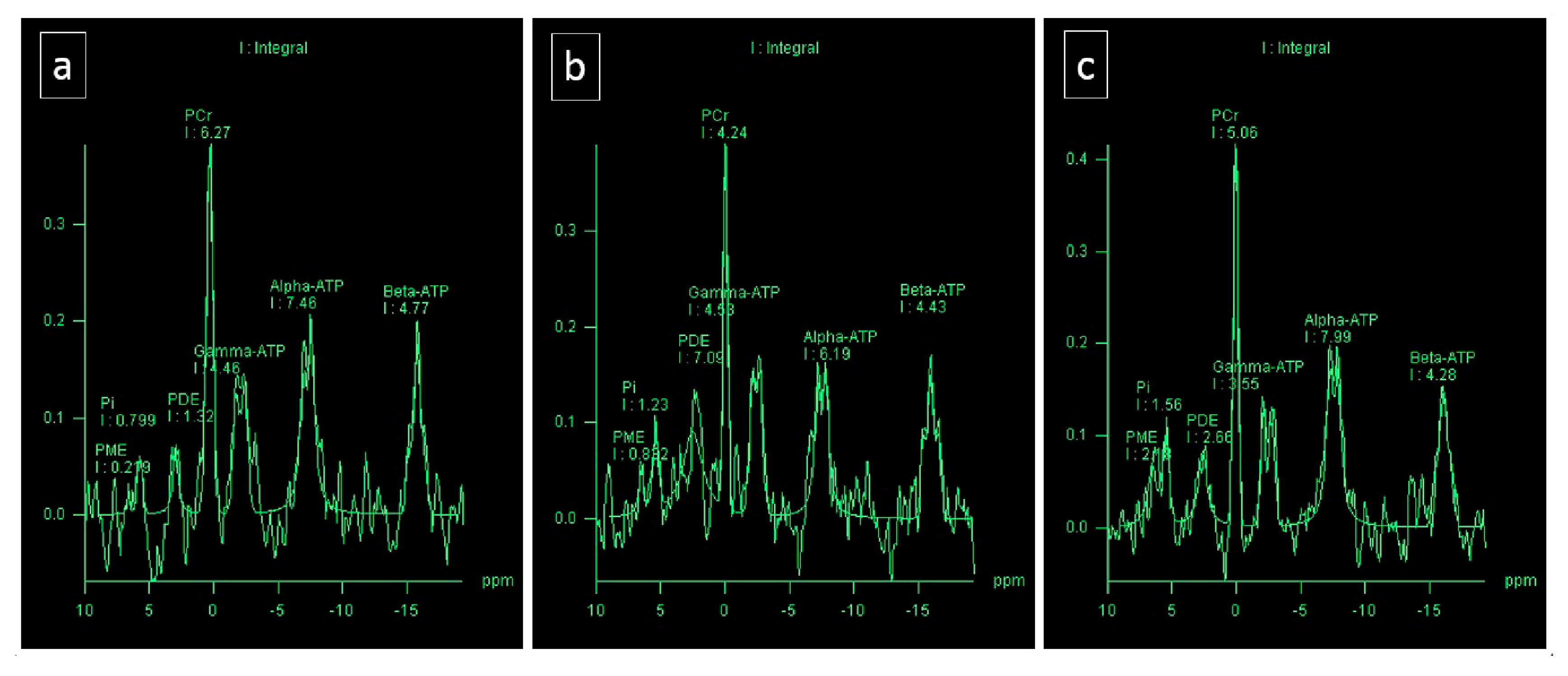 Diagnostics 10 00073 g003