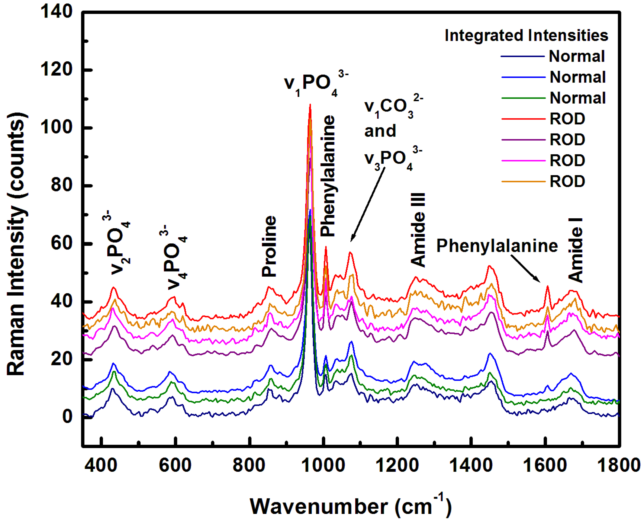 Diagnostics 10 00079 g001 Diagnostics 10 00079 g001