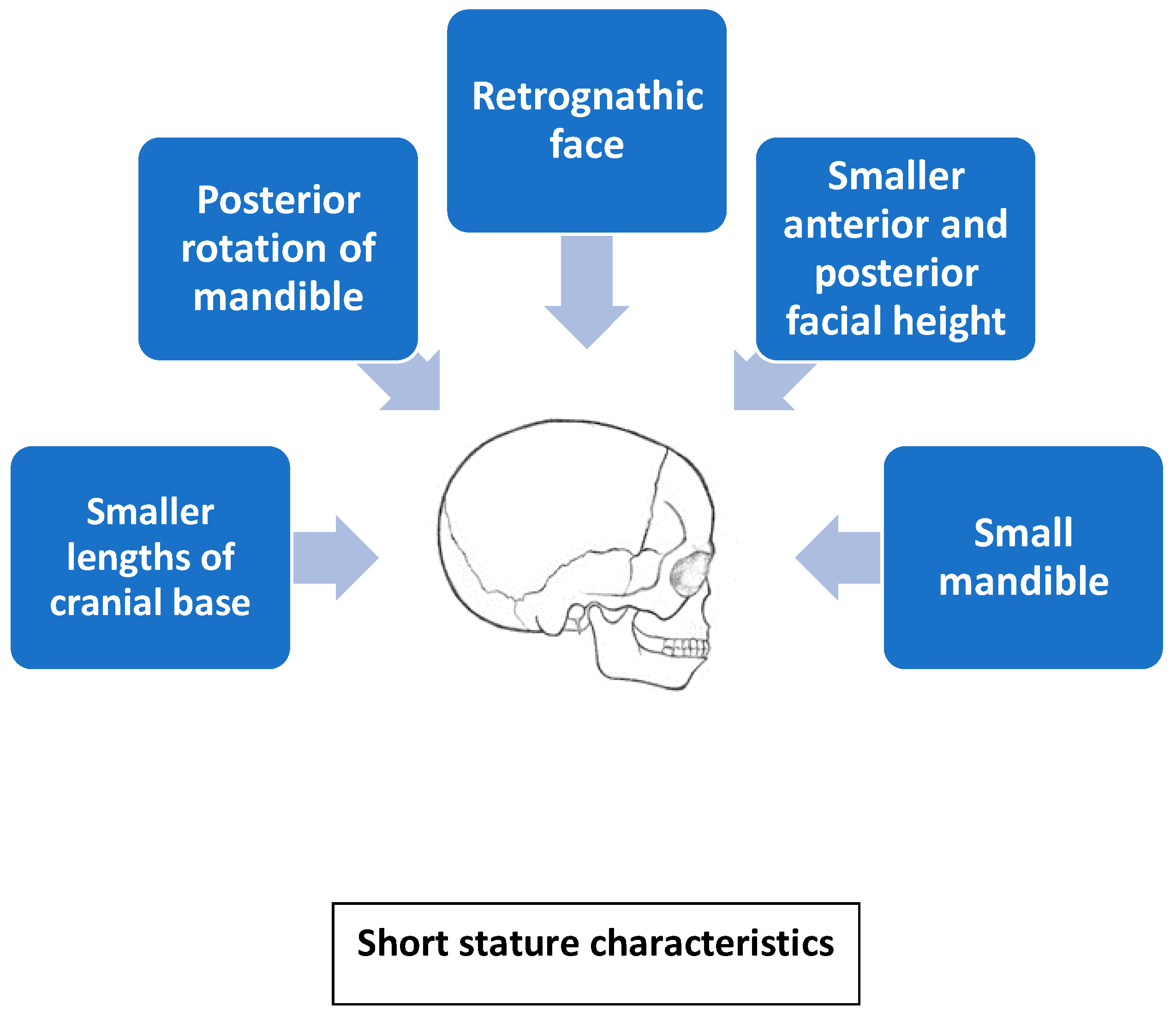 Diagnostics 10 00088 g002