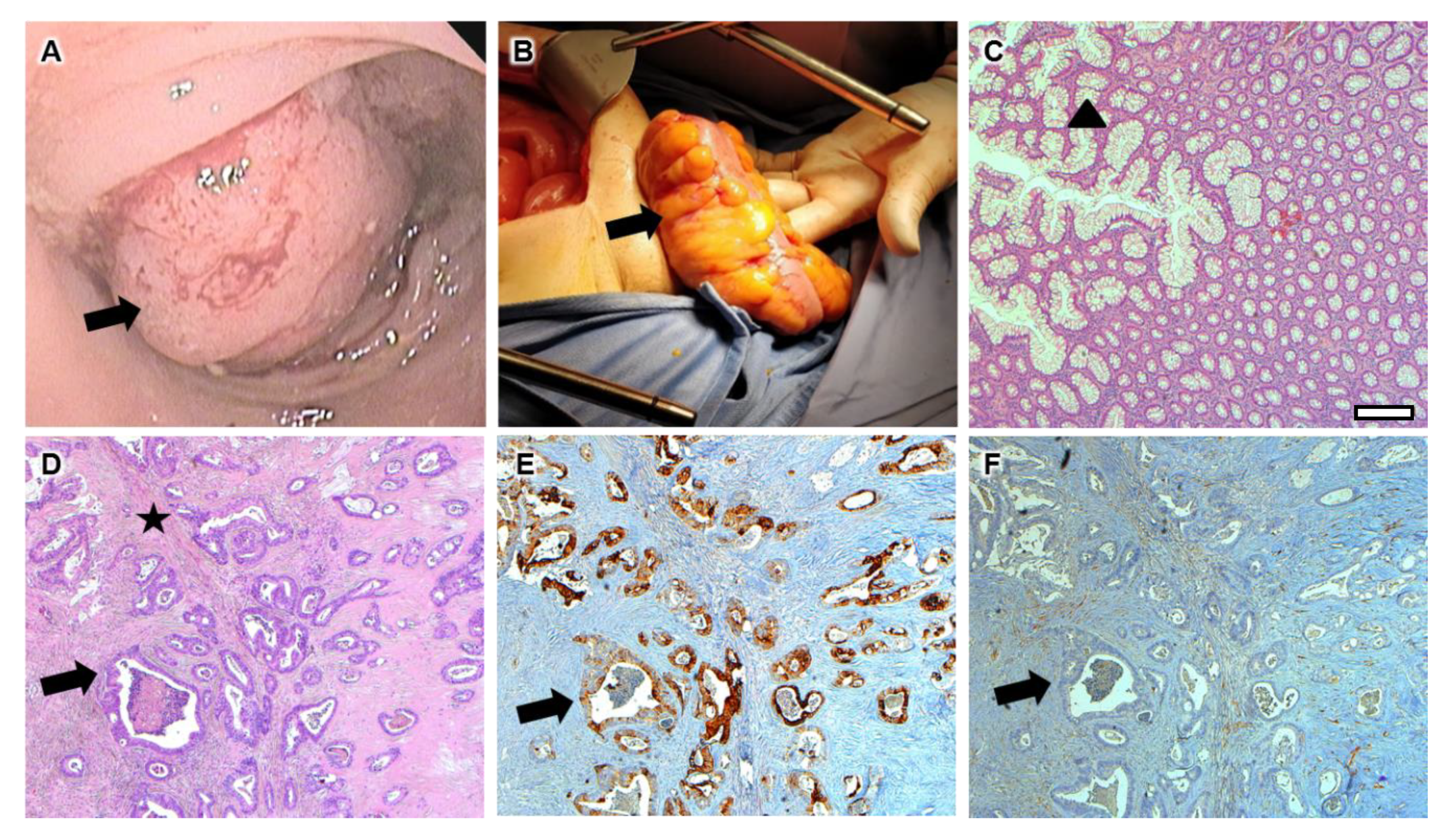 Diagnostics 10 00099 g002