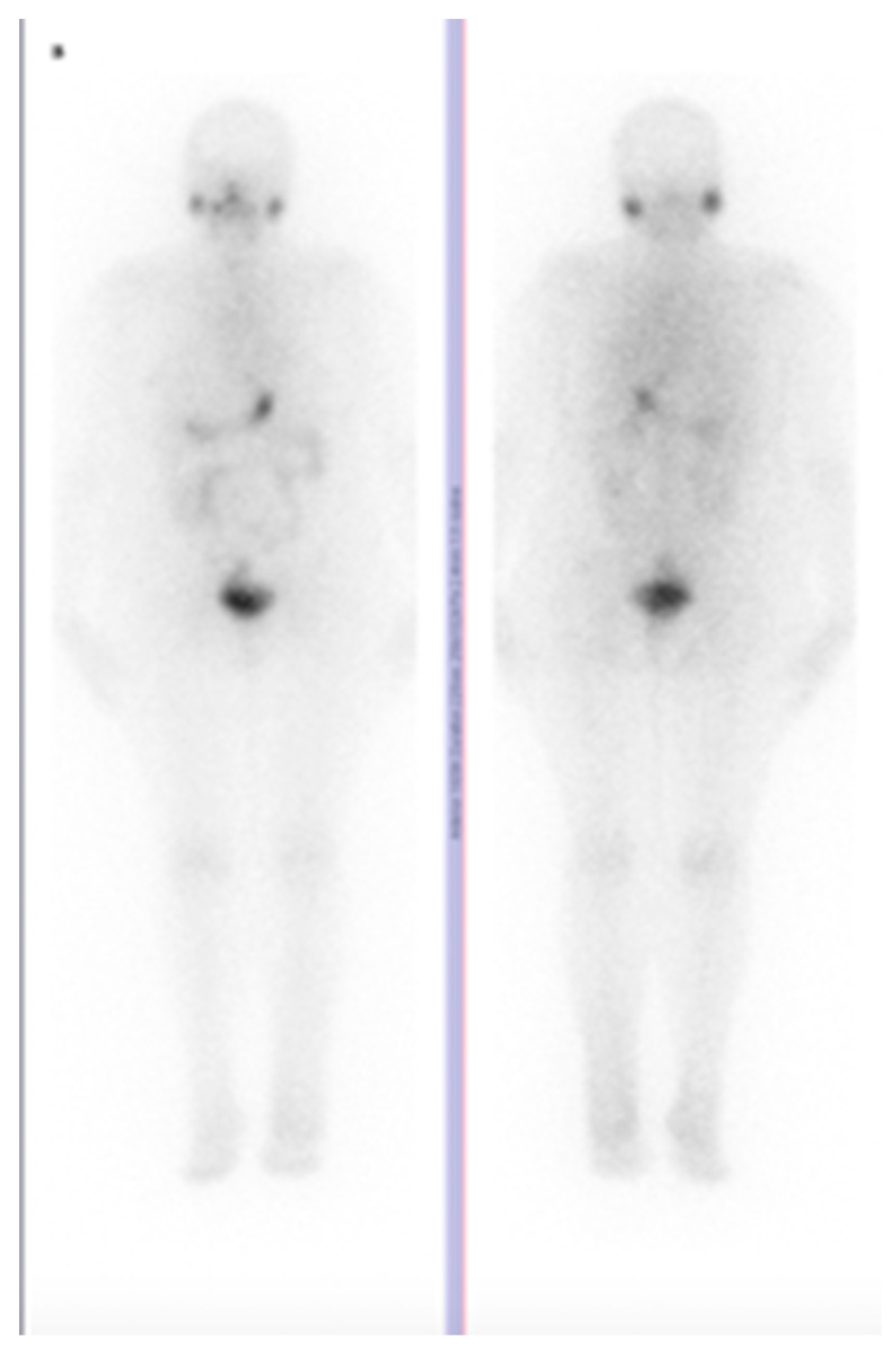 Diagnostics 10 00100 g004 Diagnostics 10 00100 g004