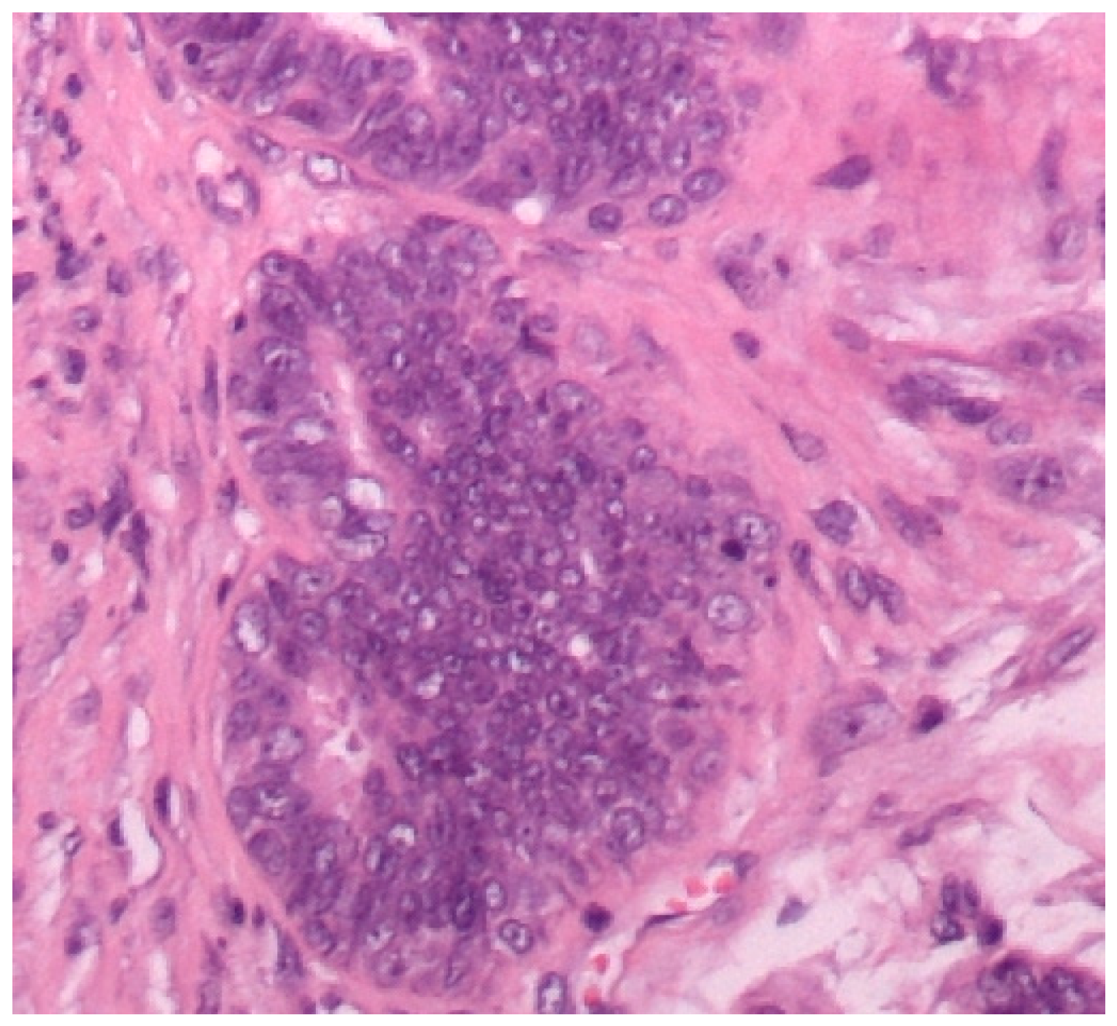 Diagnostics 10 00104 g002