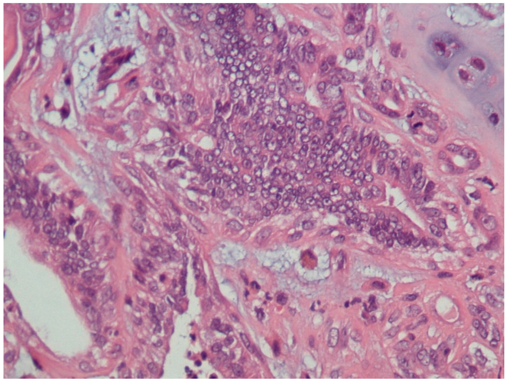 Diagnostics 10 00104 g003