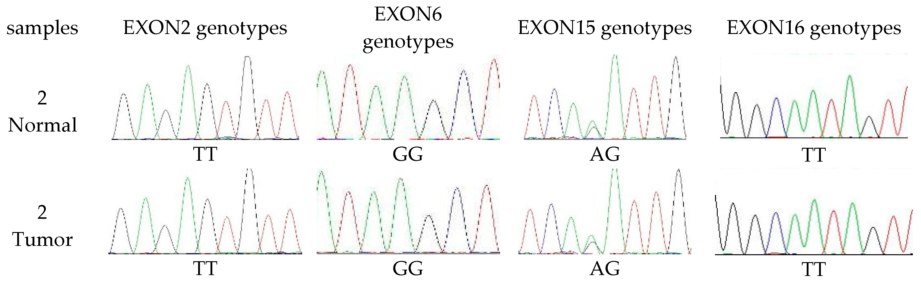 Diagnostics 10 00104 g005a