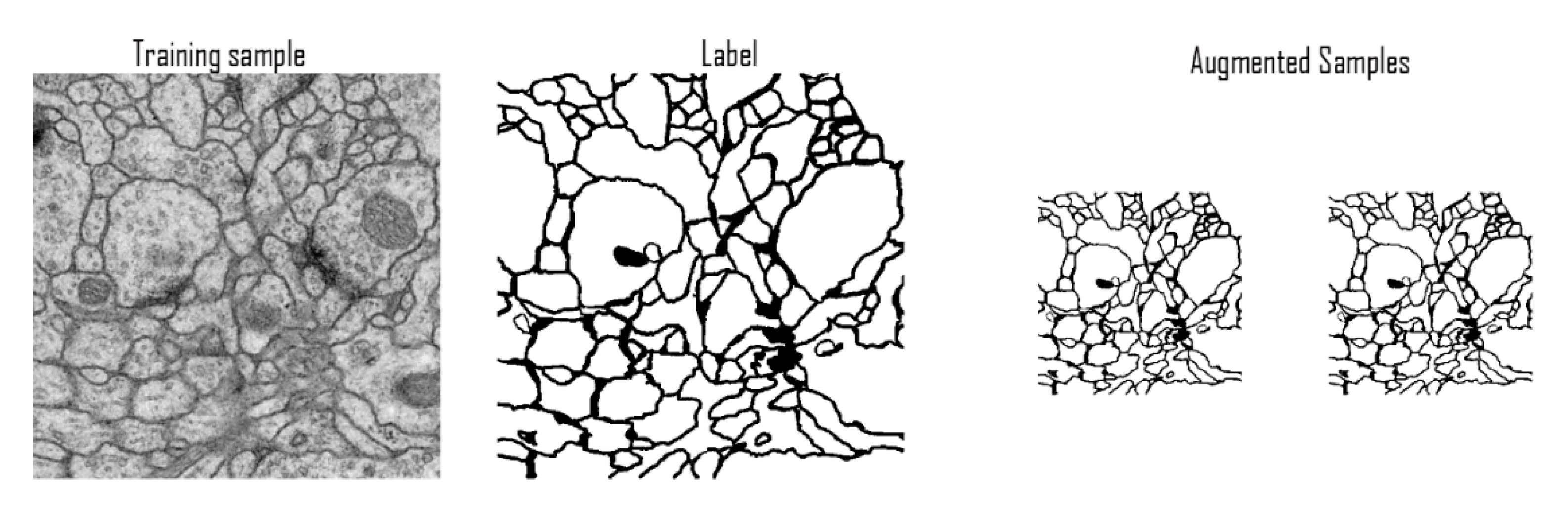 Diagnostics 10 00110 g007 Diagnostics 10 00110 g007