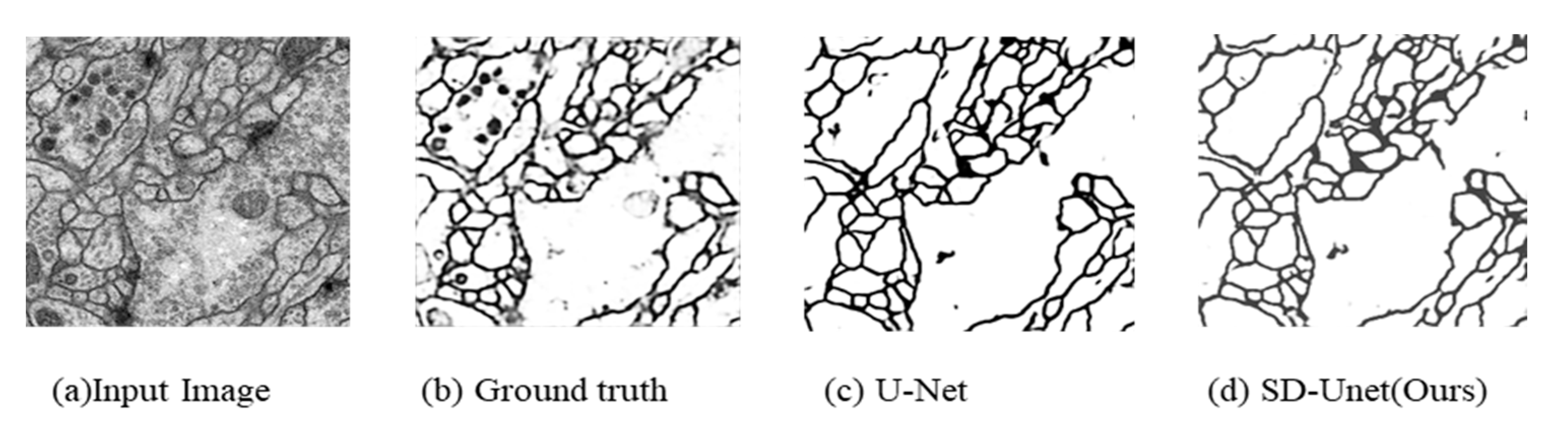 Diagnostics 10 00110 g009 Diagnostics 10 00110 g009