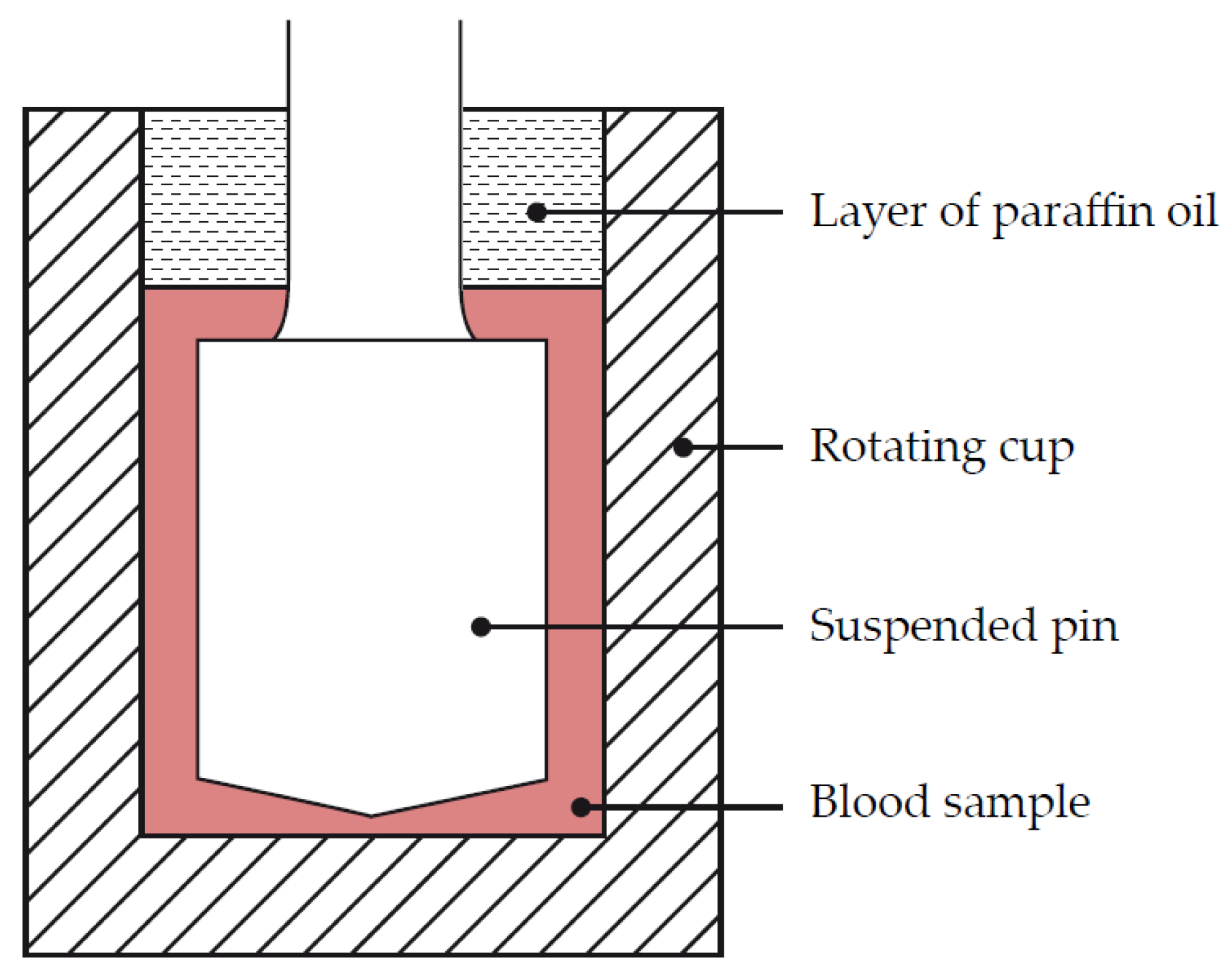 Diagnostics 10 00118 g002