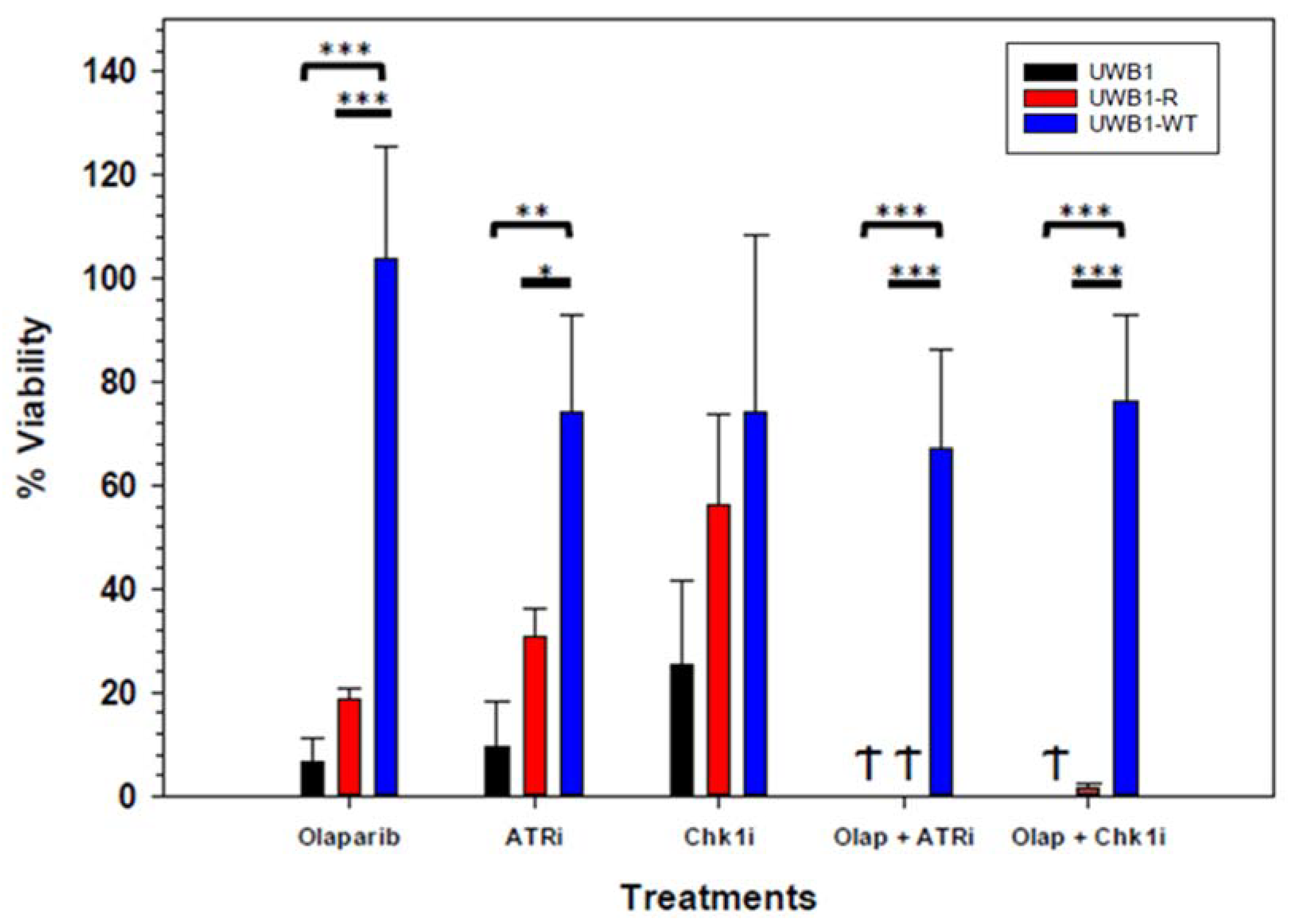 Diagnostics 10 00121 g004 Diagnostics 10 00121 g004