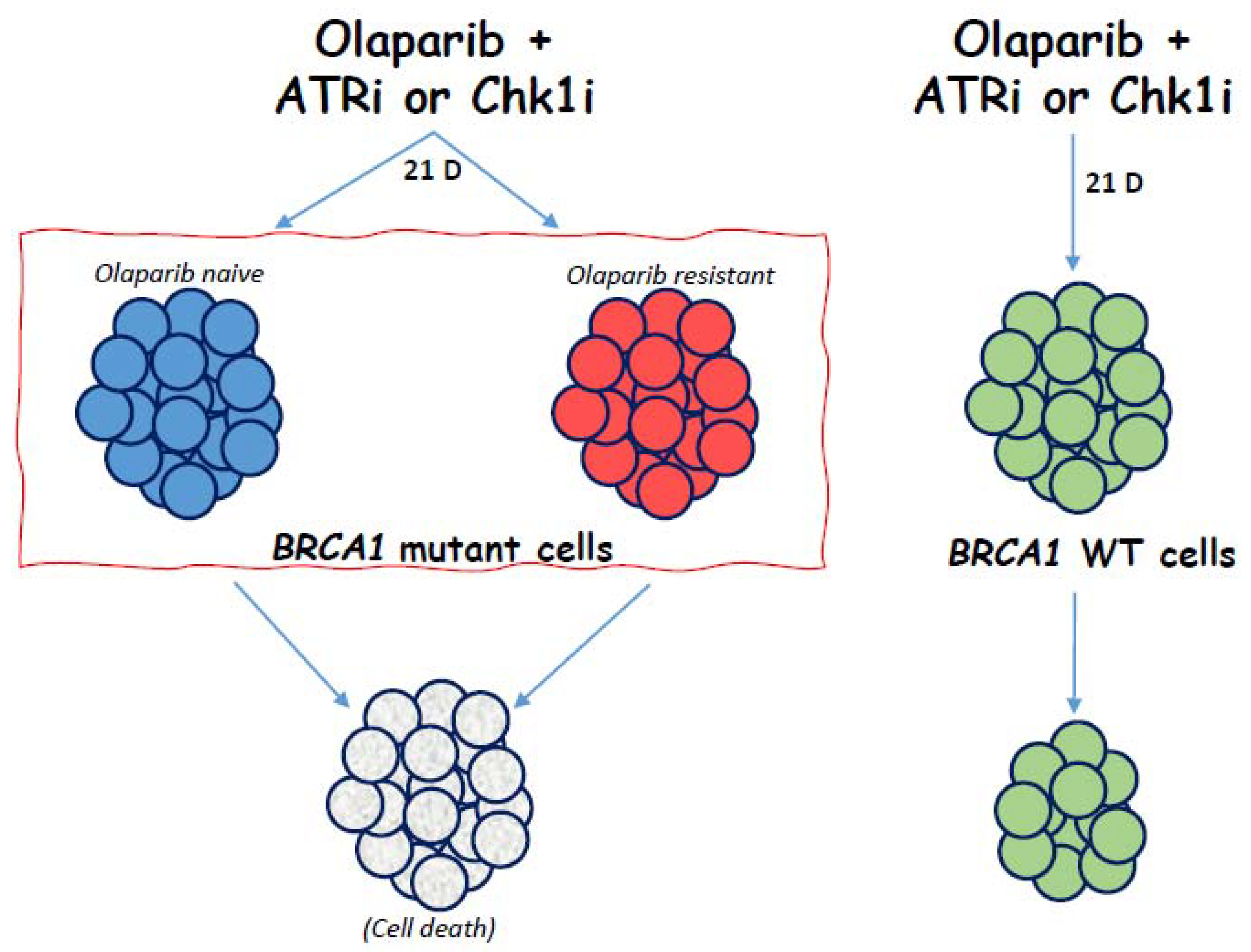 Diagnostics 10 00121 g005 Diagnostics 10 00121 g005
