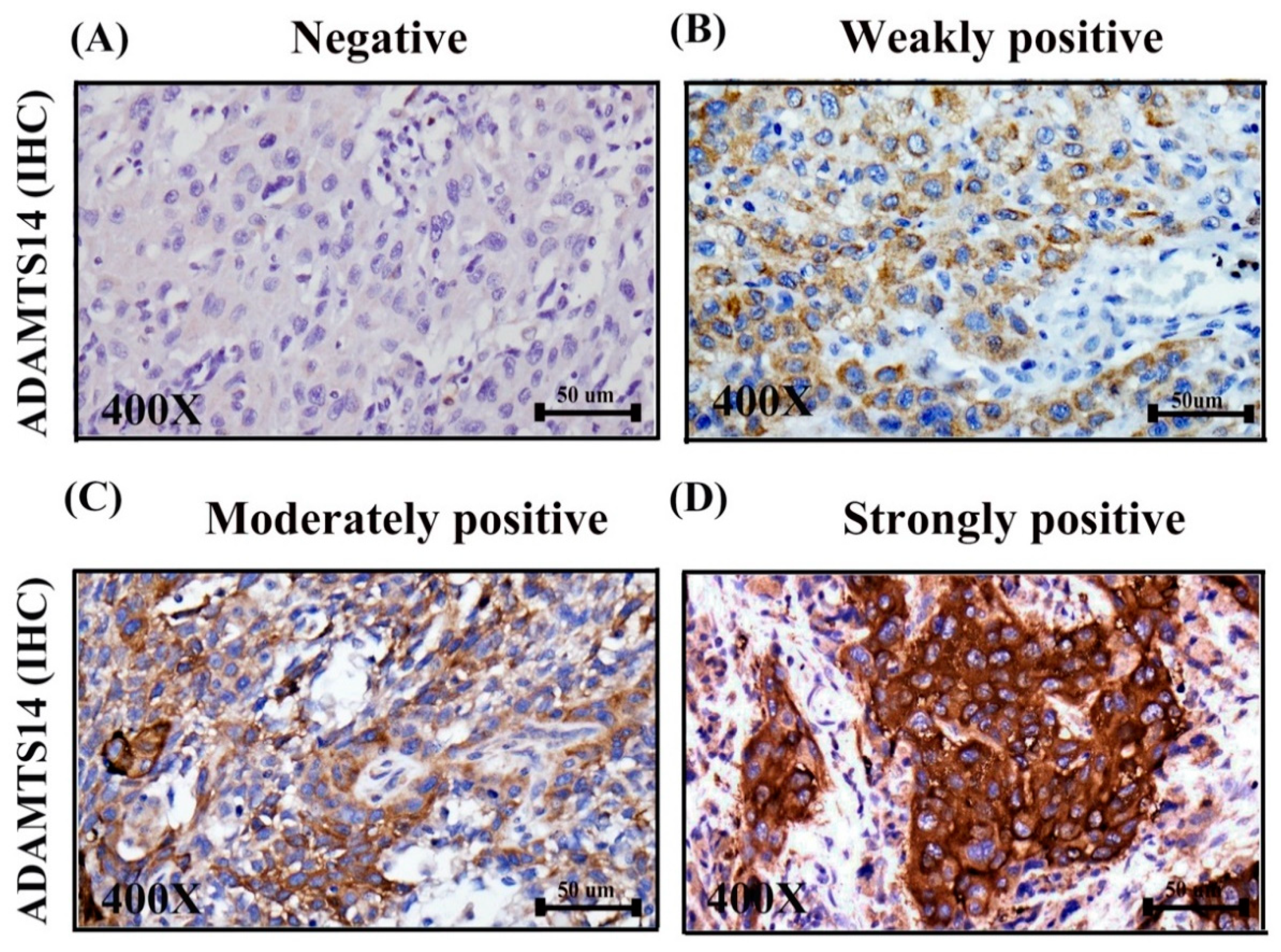 Diagnostics 10 00122 g001 Diagnostics 10 00122 g001