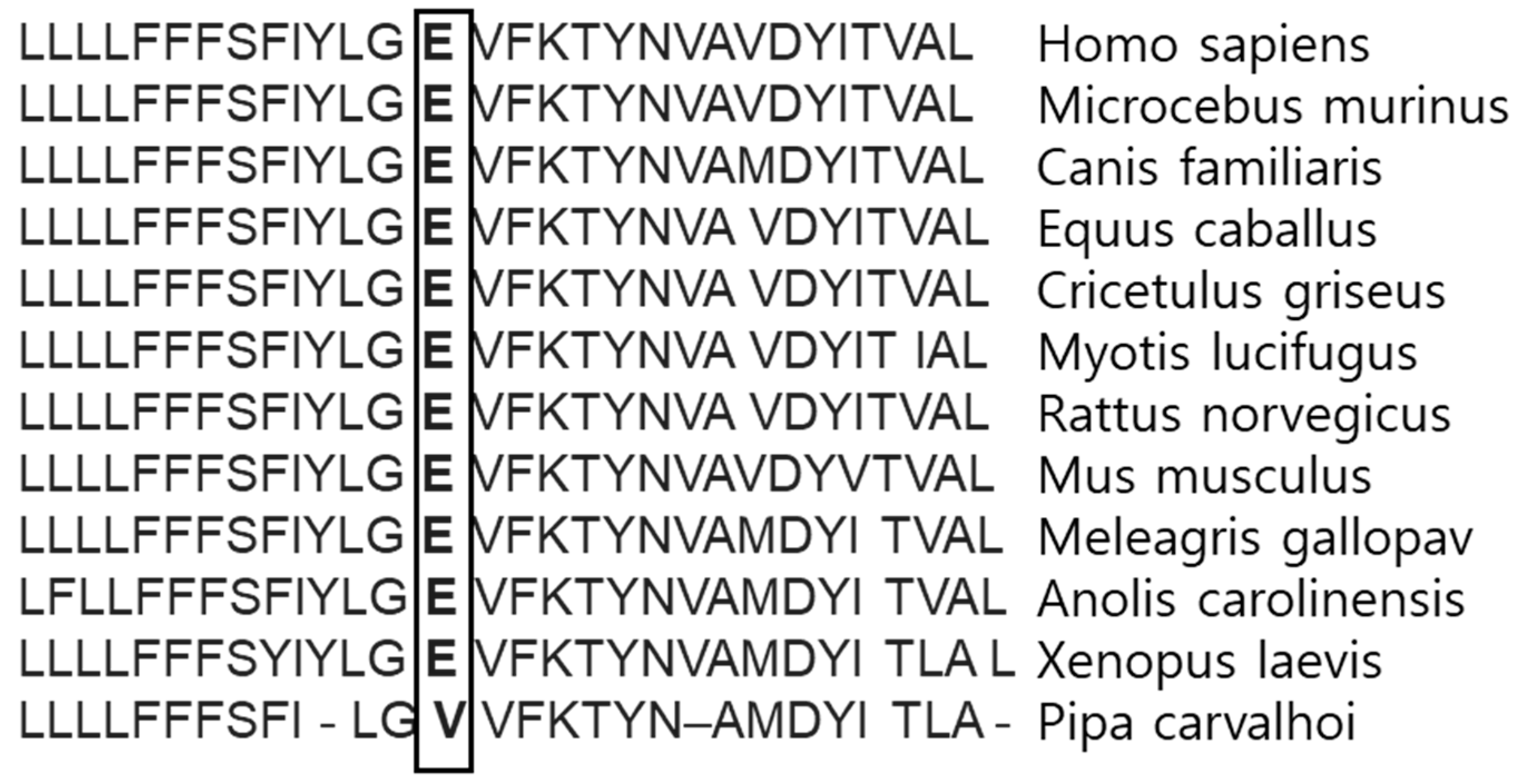 Diagnostics 10 00135 g004 Diagnostics 10 00135 g004