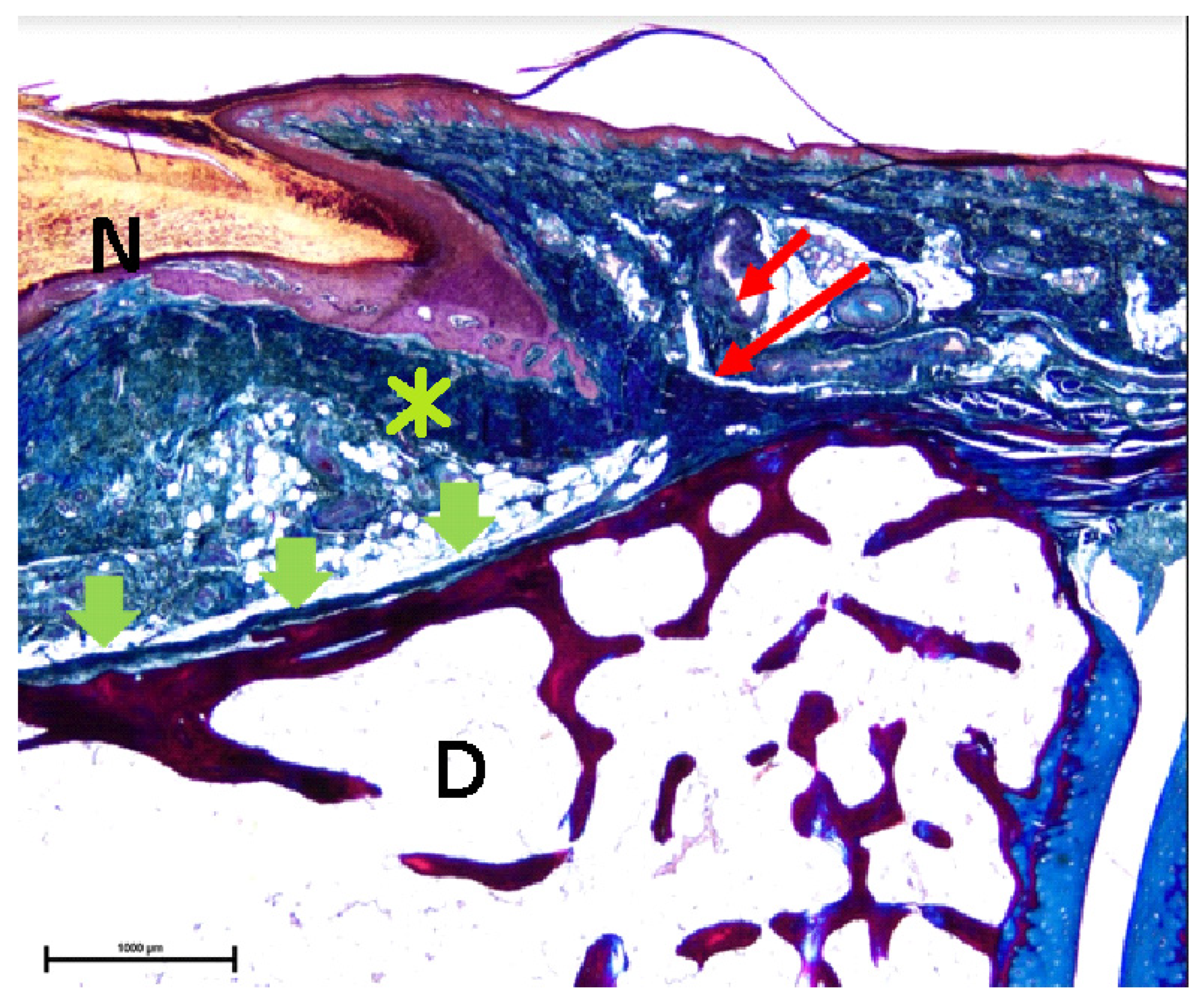 Diagnostics 10 00147 g003 Diagnostics 10 00147 g003